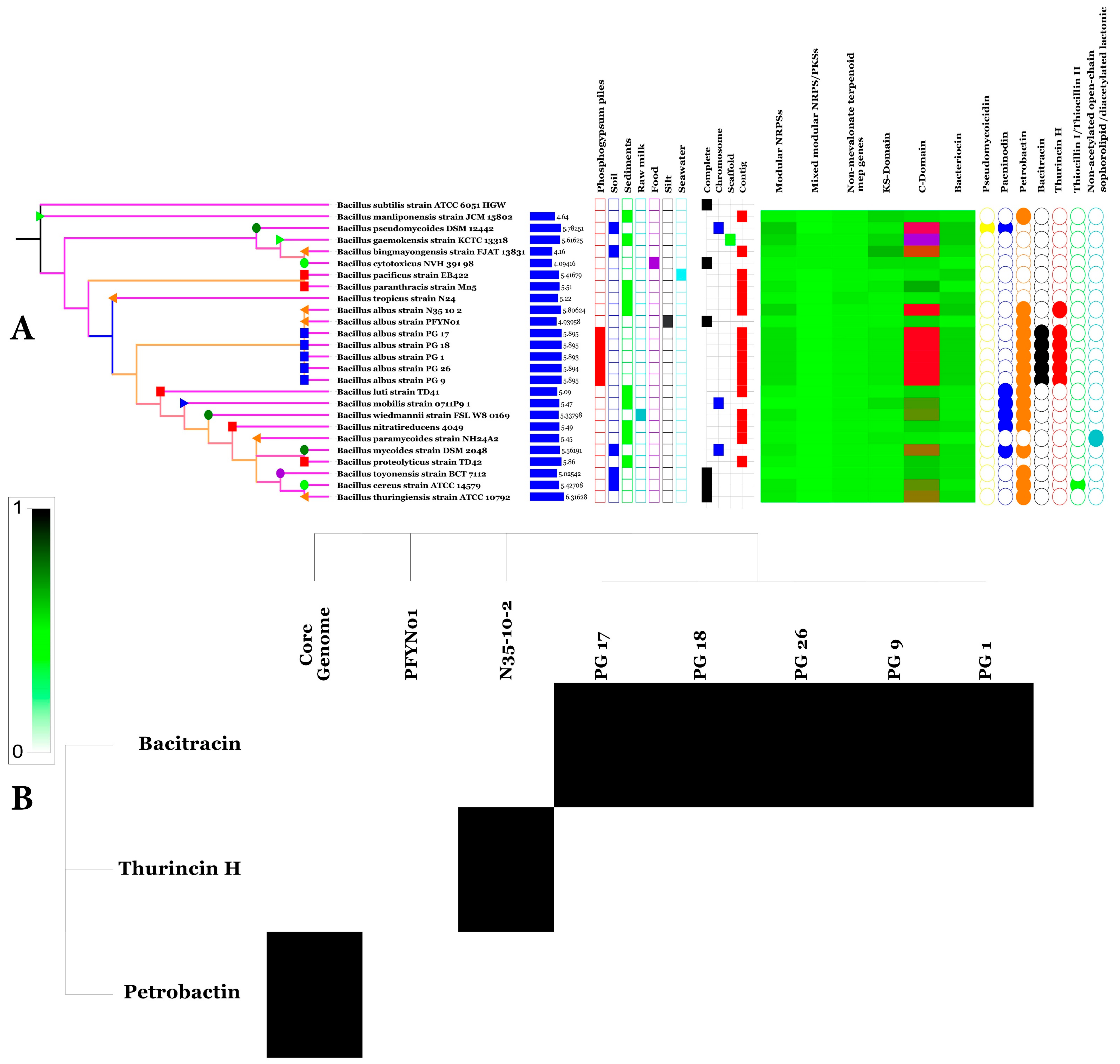 Microorganisms 07 00382 g012