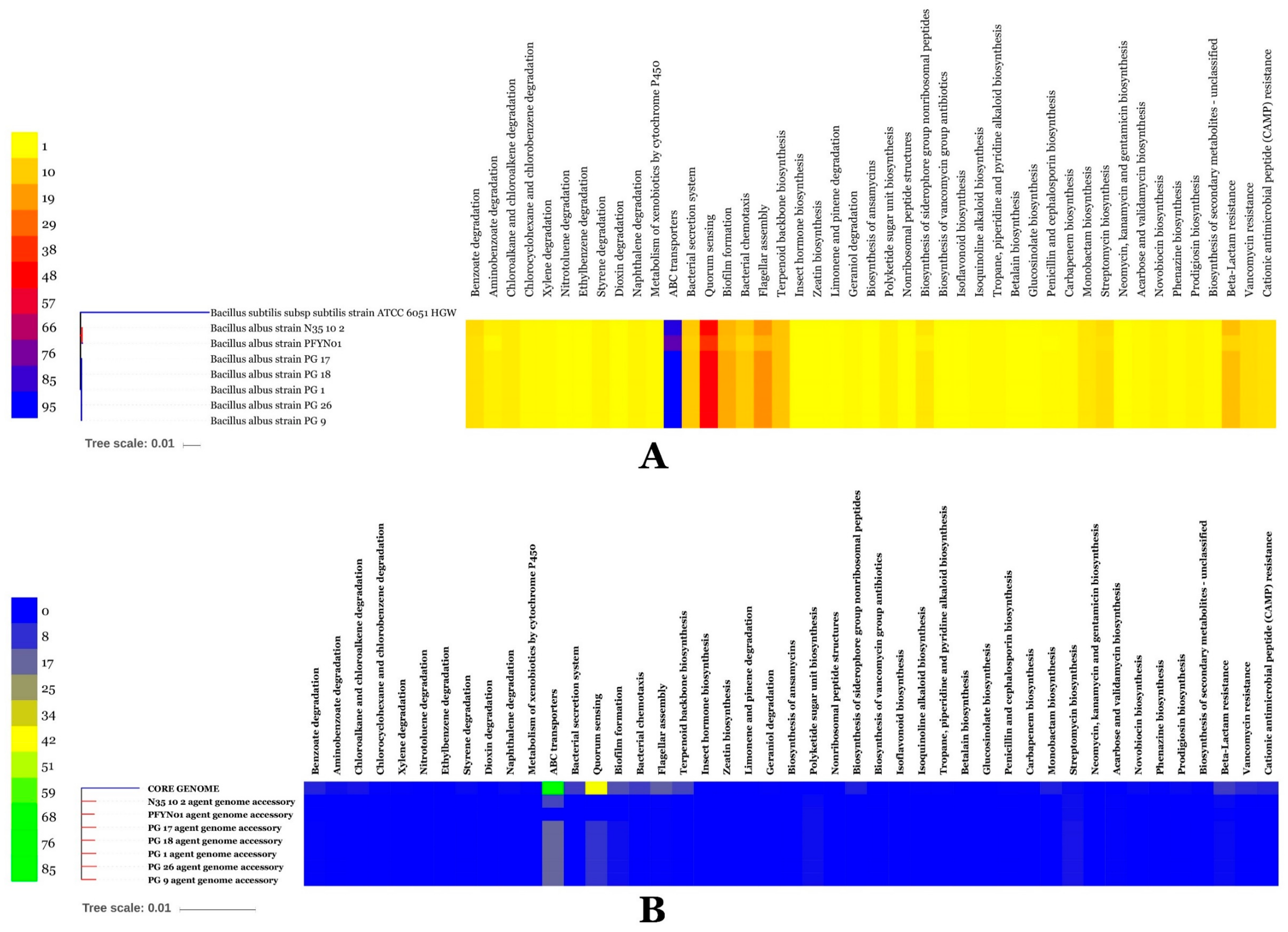 Microorganisms 07 00382 g013