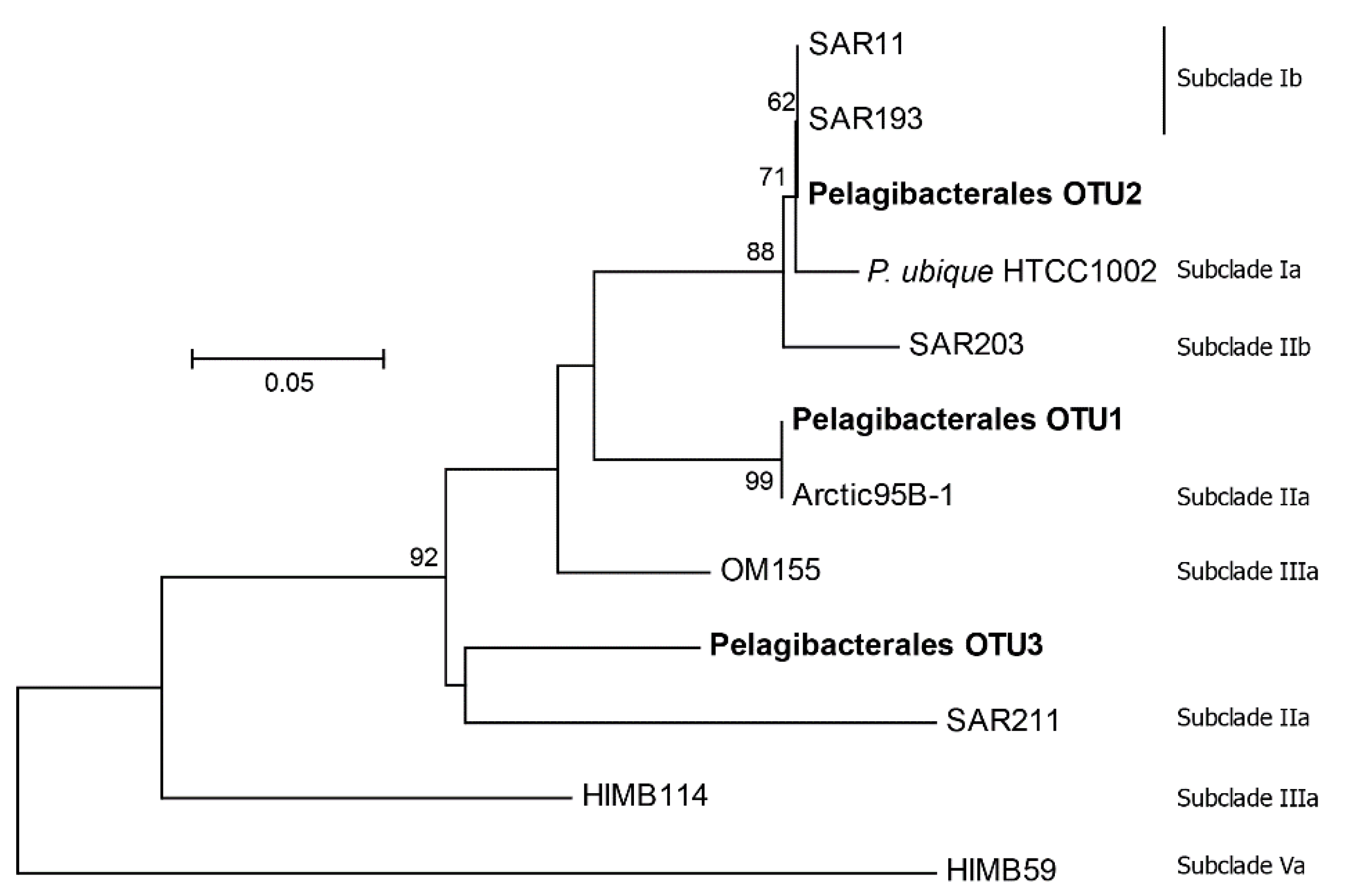 Microorganisms 07 00385 g007 Microorganisms 07 00385 g007