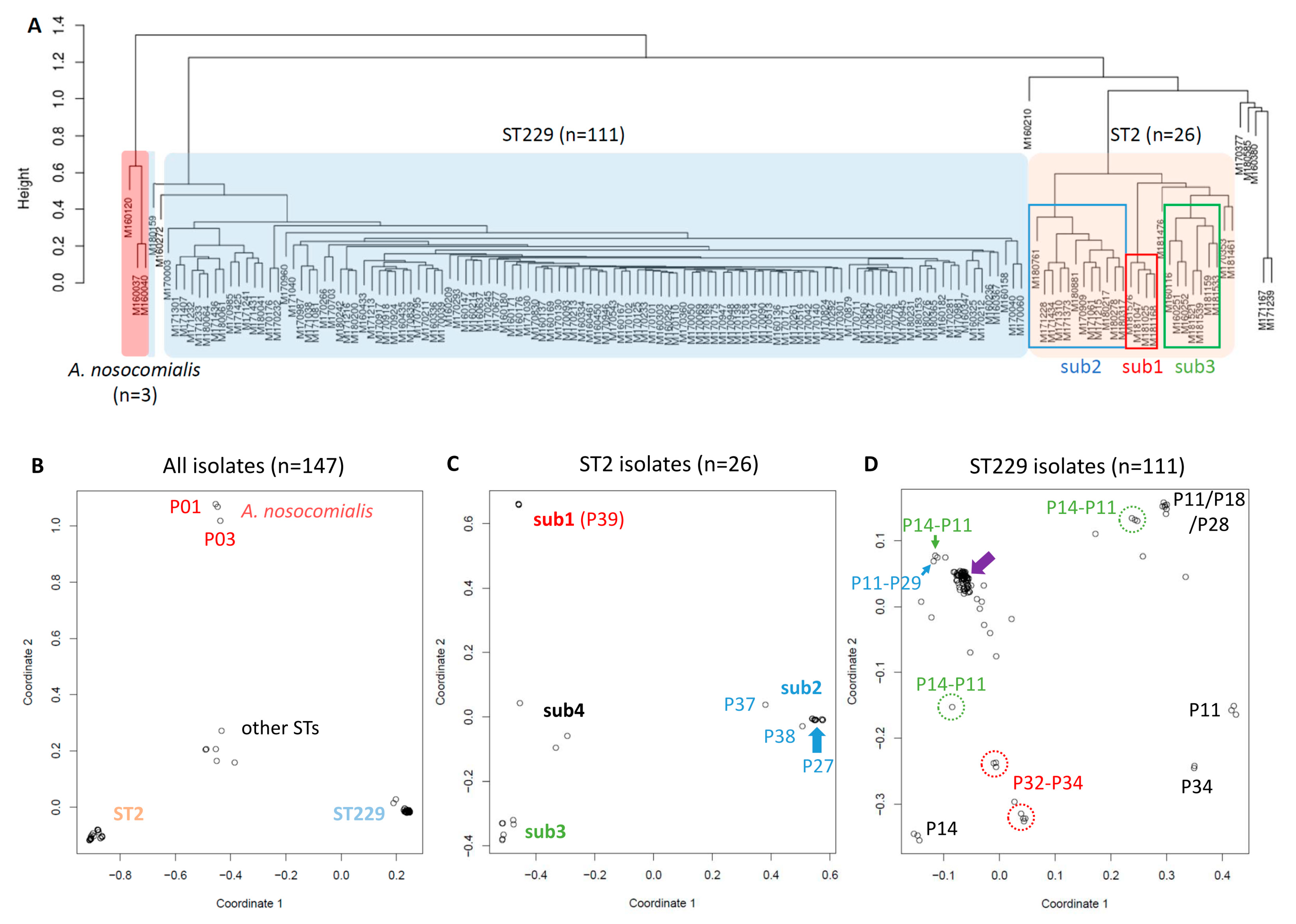 Microorganisms 07 00388 g004a