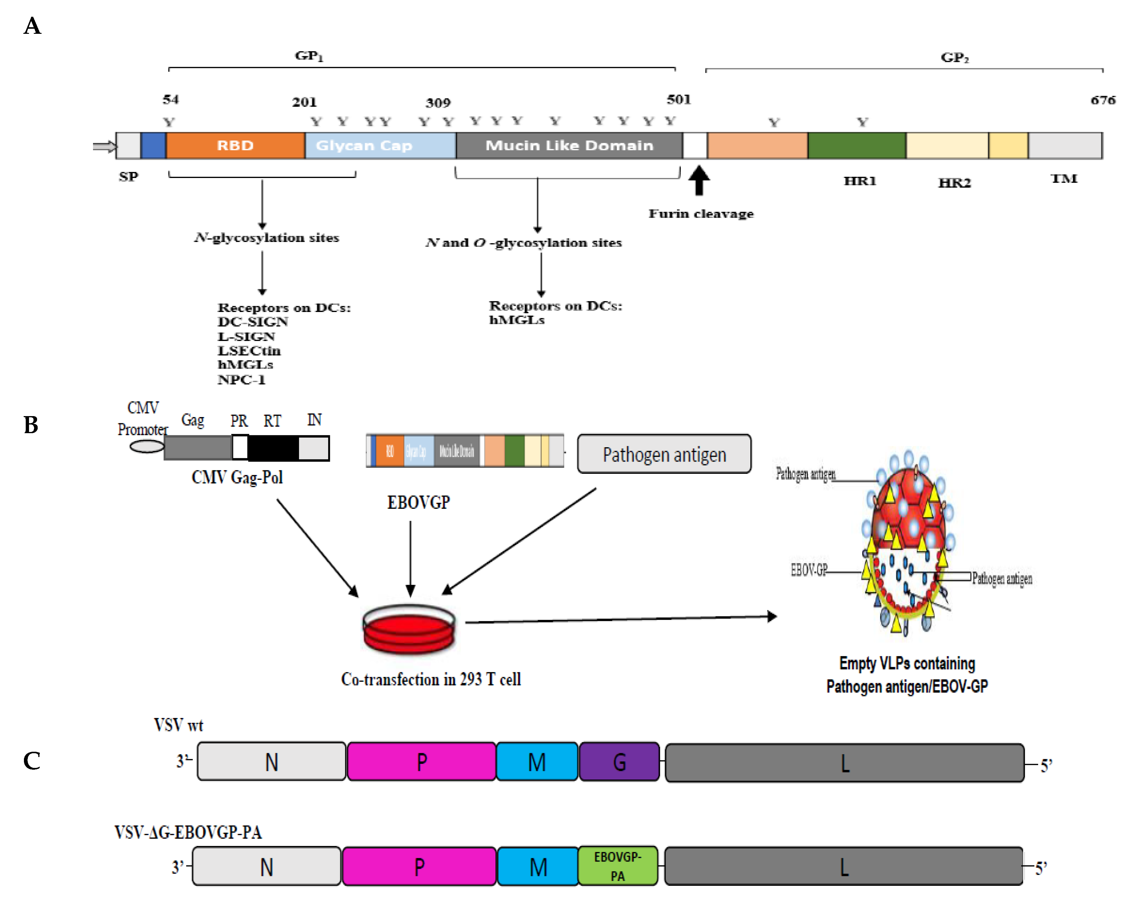 Microorganisms 07 00402 g001 Microorganisms 07 00402 g001