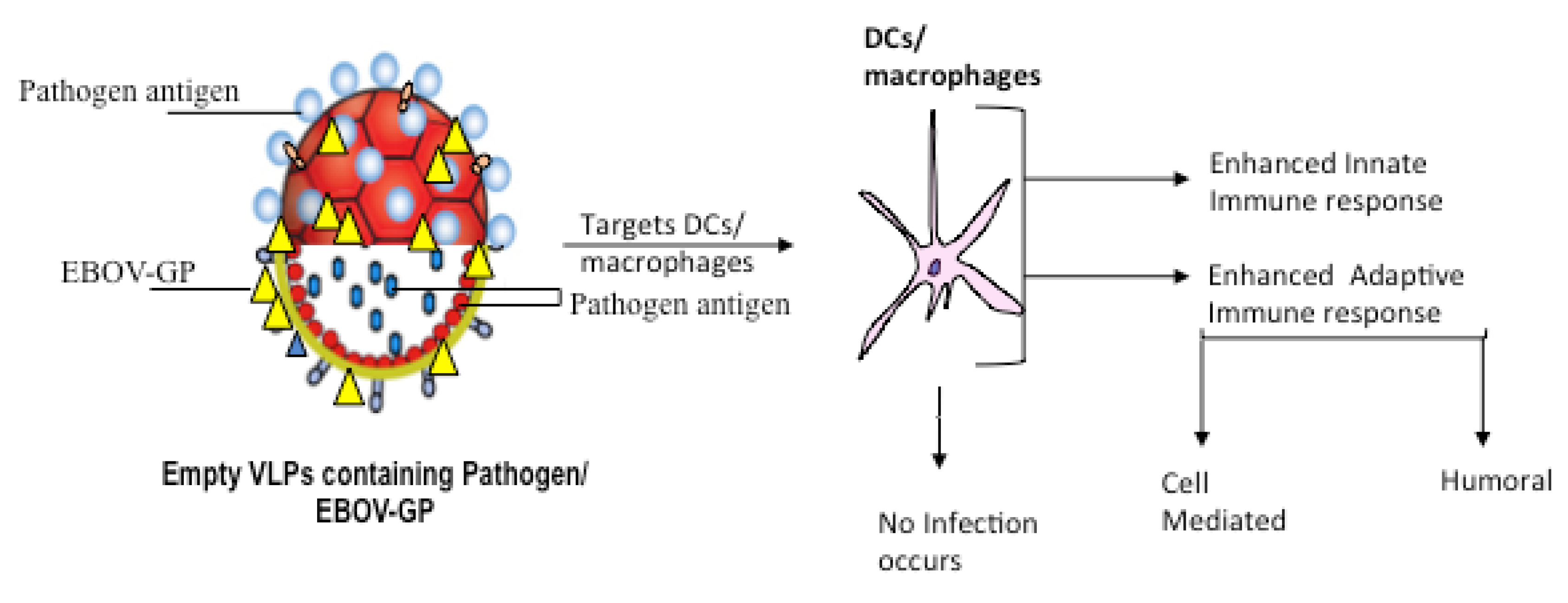 Microorganisms 07 00402 g002 Microorganisms 07 00402 g002