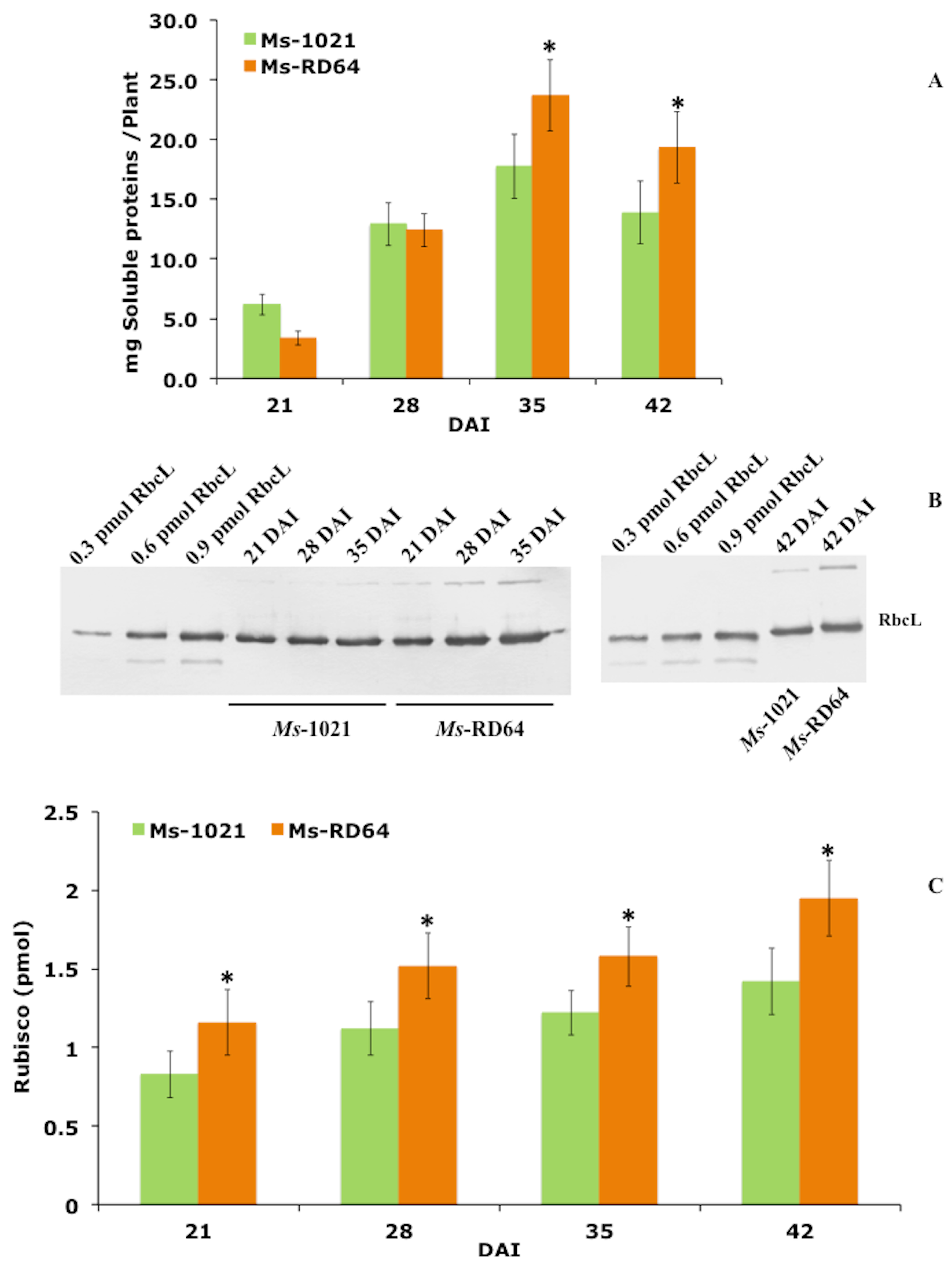 Microorganisms 07 00403 g003