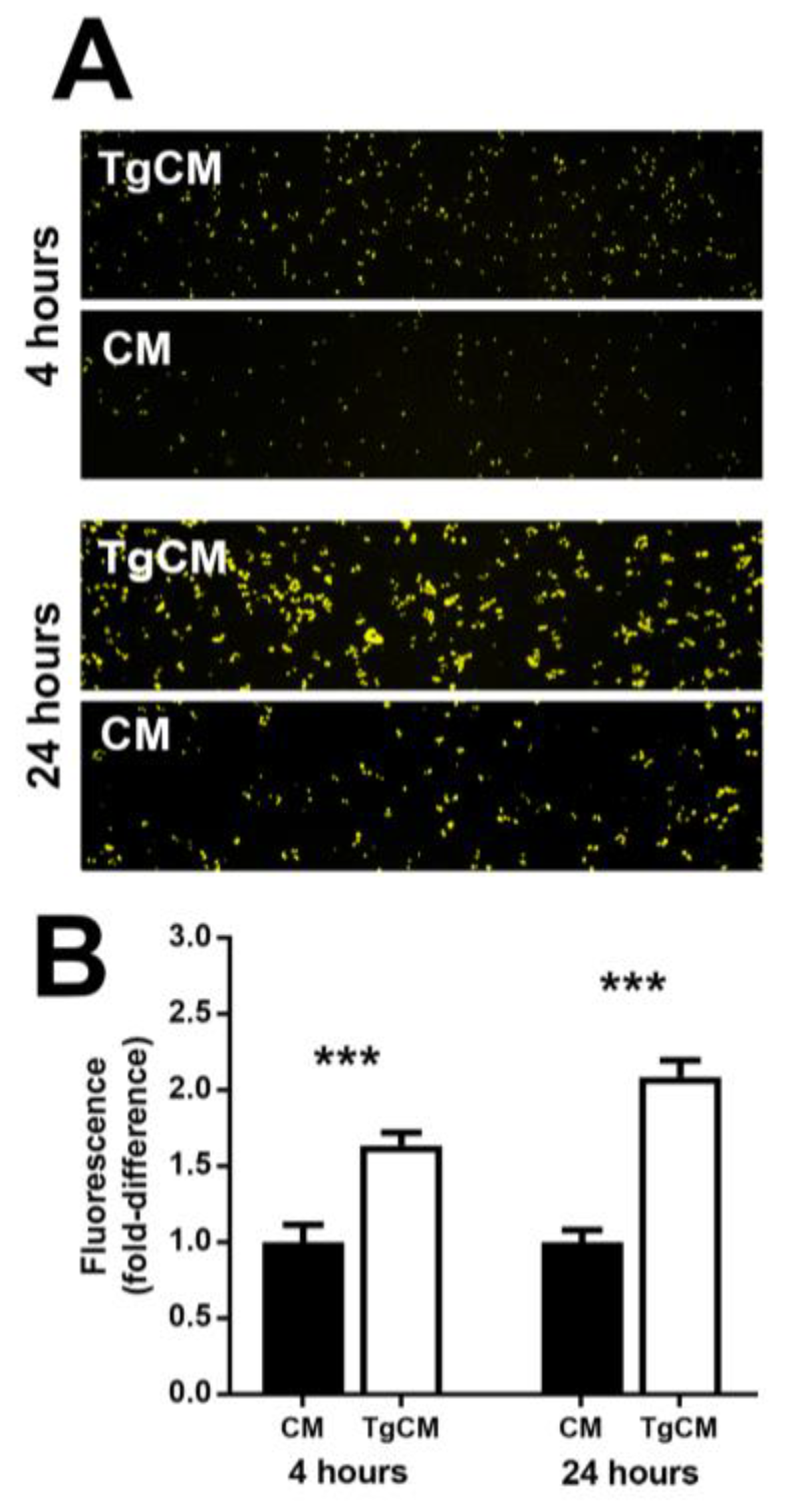 Microorganisms 07 00405 g005