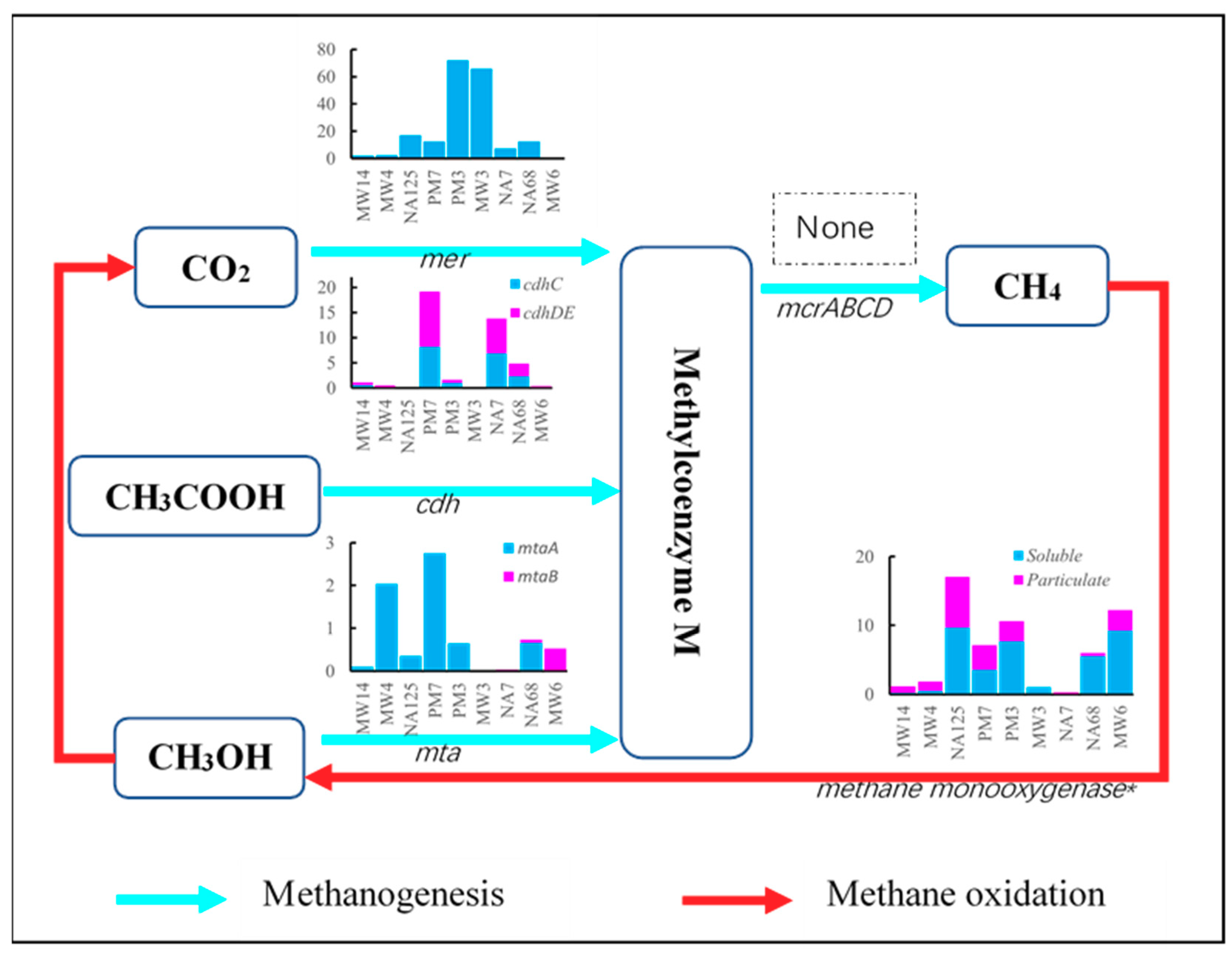 Microorganisms 07 00412 g003 Microorganisms 07 00412 g003
