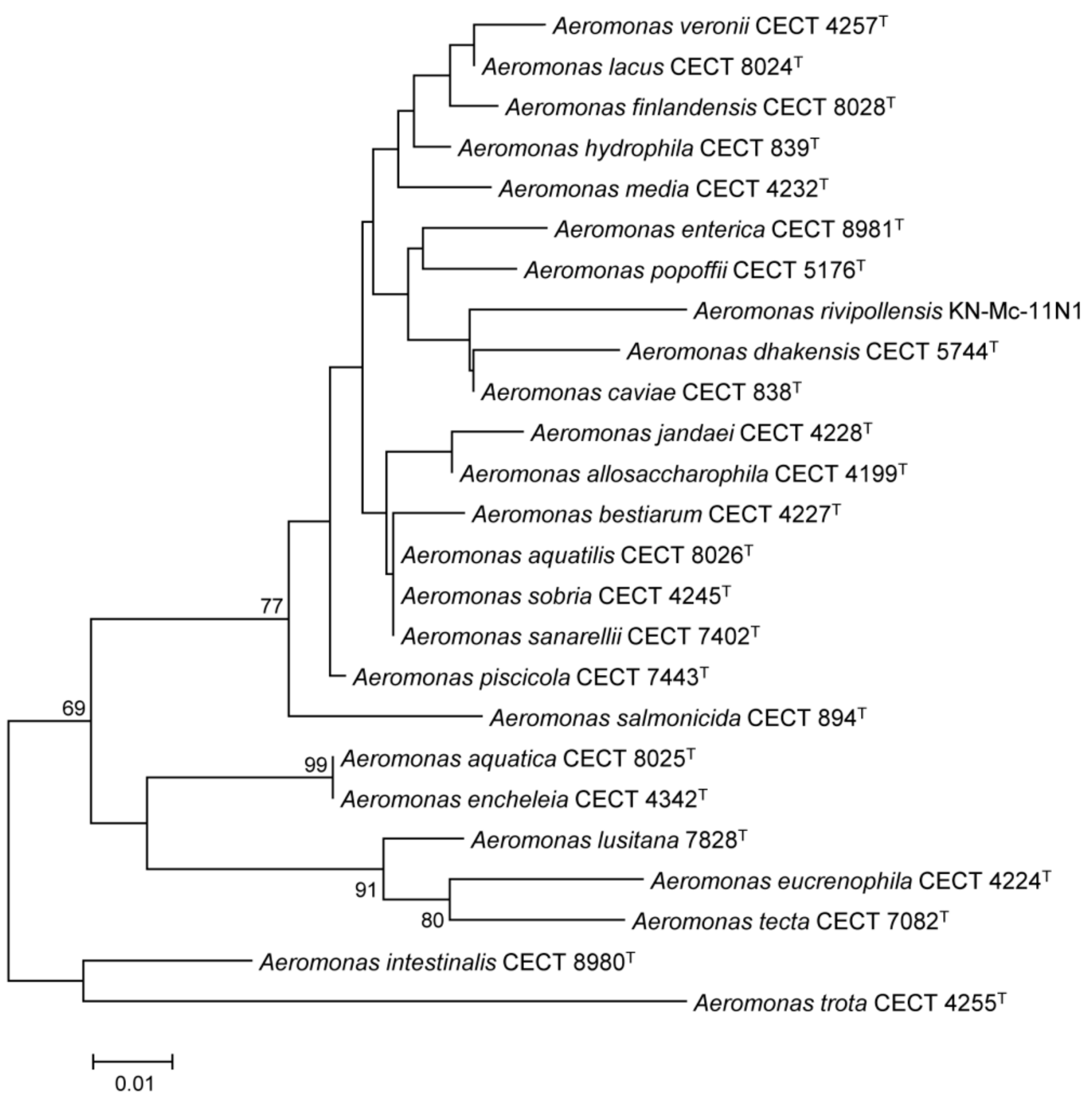 Microorganisms 07 00415 g002