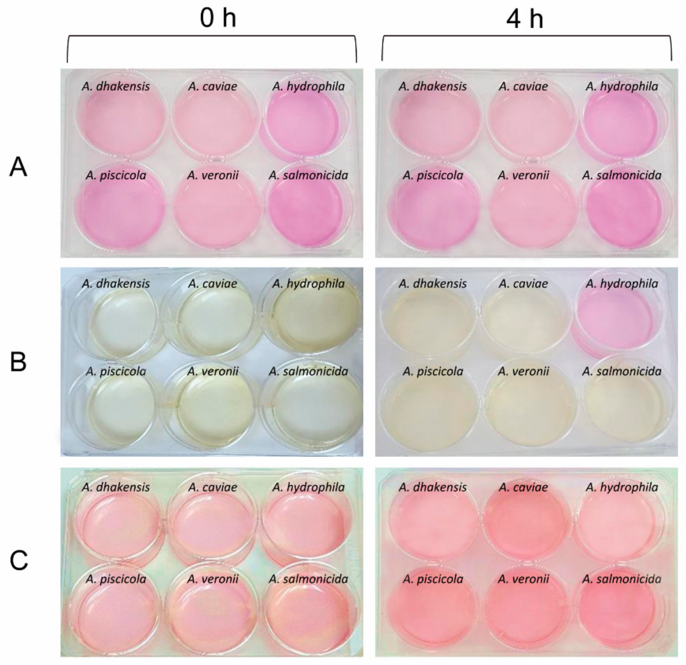 Microorganisms 07 00415 g004