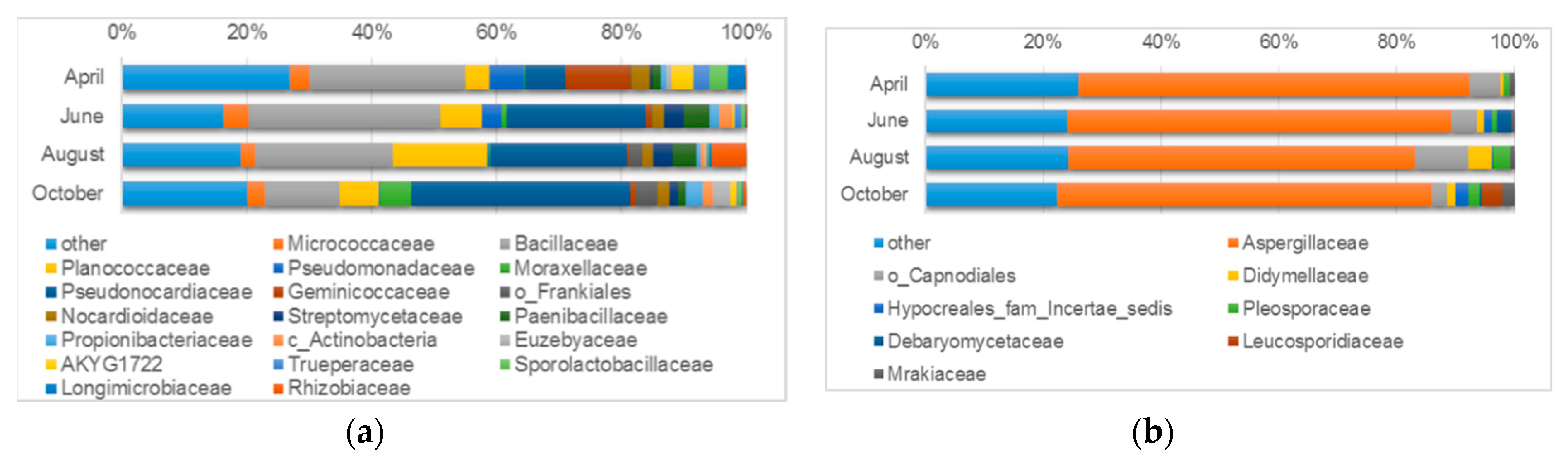 Microorganism Size Chart