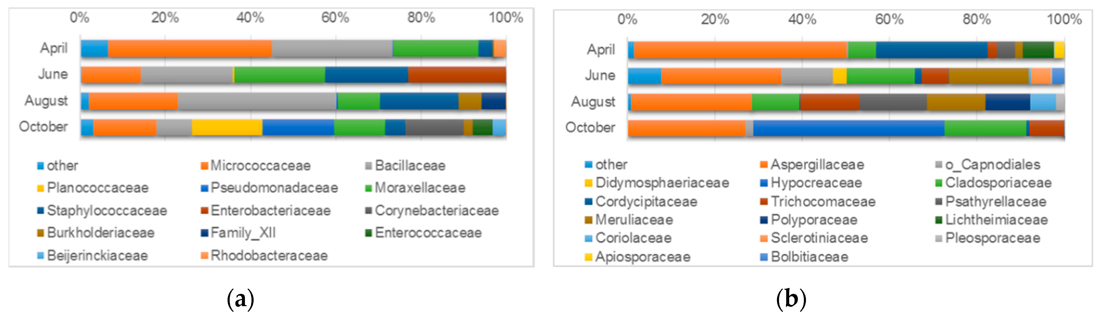 Microorganism Size Chart