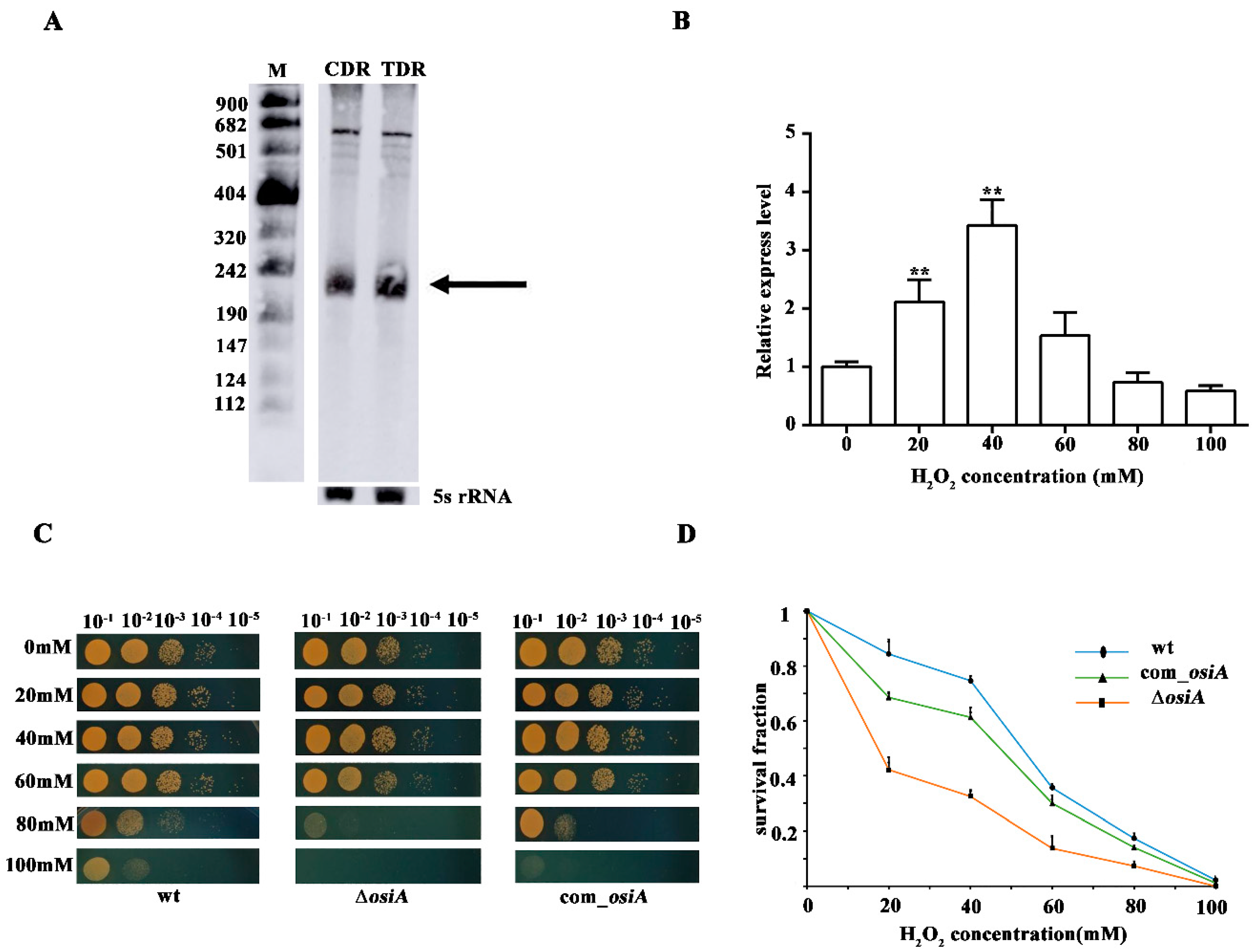 Microorganisms 07 00422 g001 Microorganisms 07 00422 g001