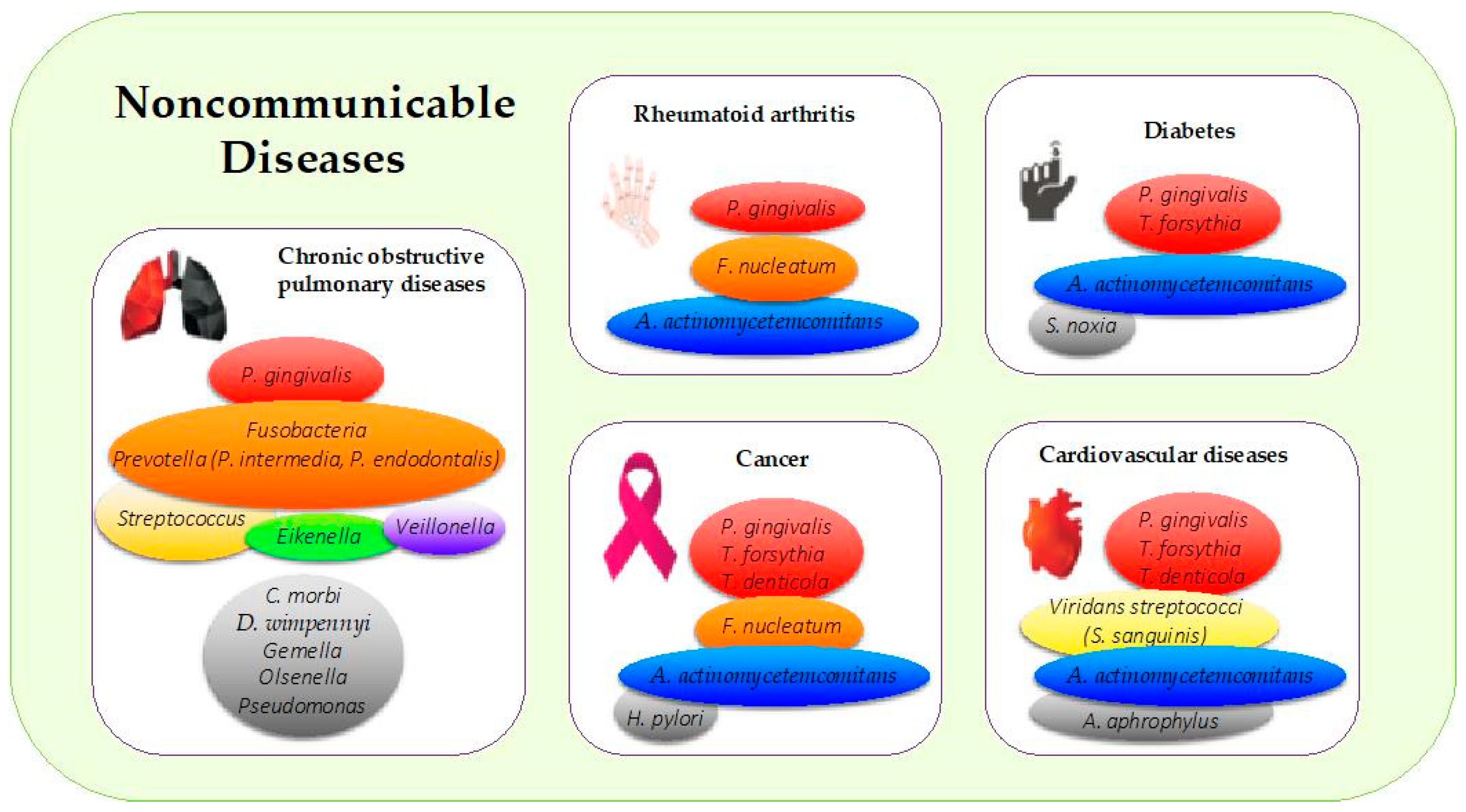 Microorganisms | Free Full-Text | Periodontal Pathogens as Risk Factors of Cardiovascular Diseases, Diabetes, Rheumatoid Arthritis, and Chronic Obstructive Pulmonary Disease—Is There Cause for Consideration?