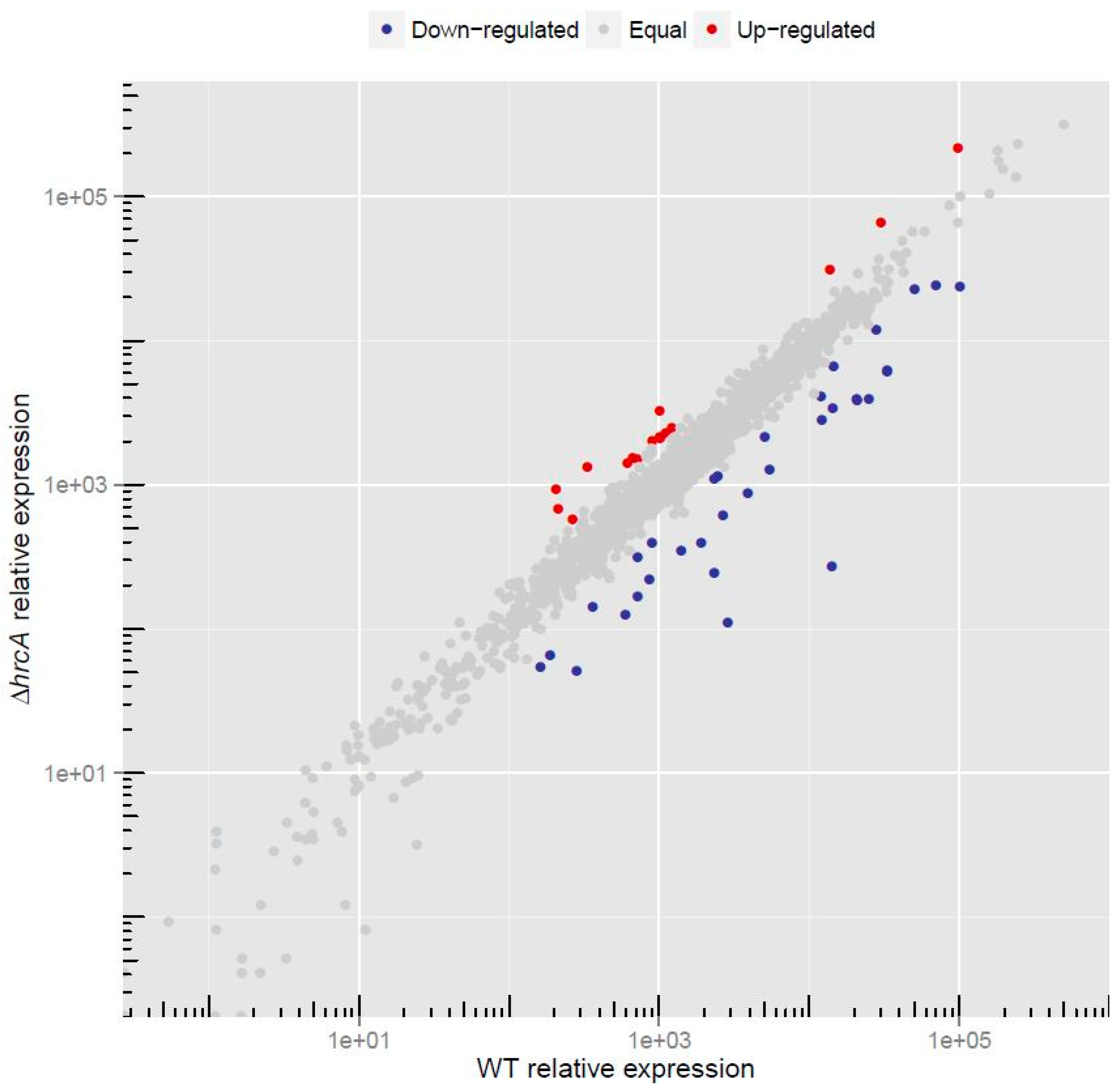 Microorganisms 07 00436 g001