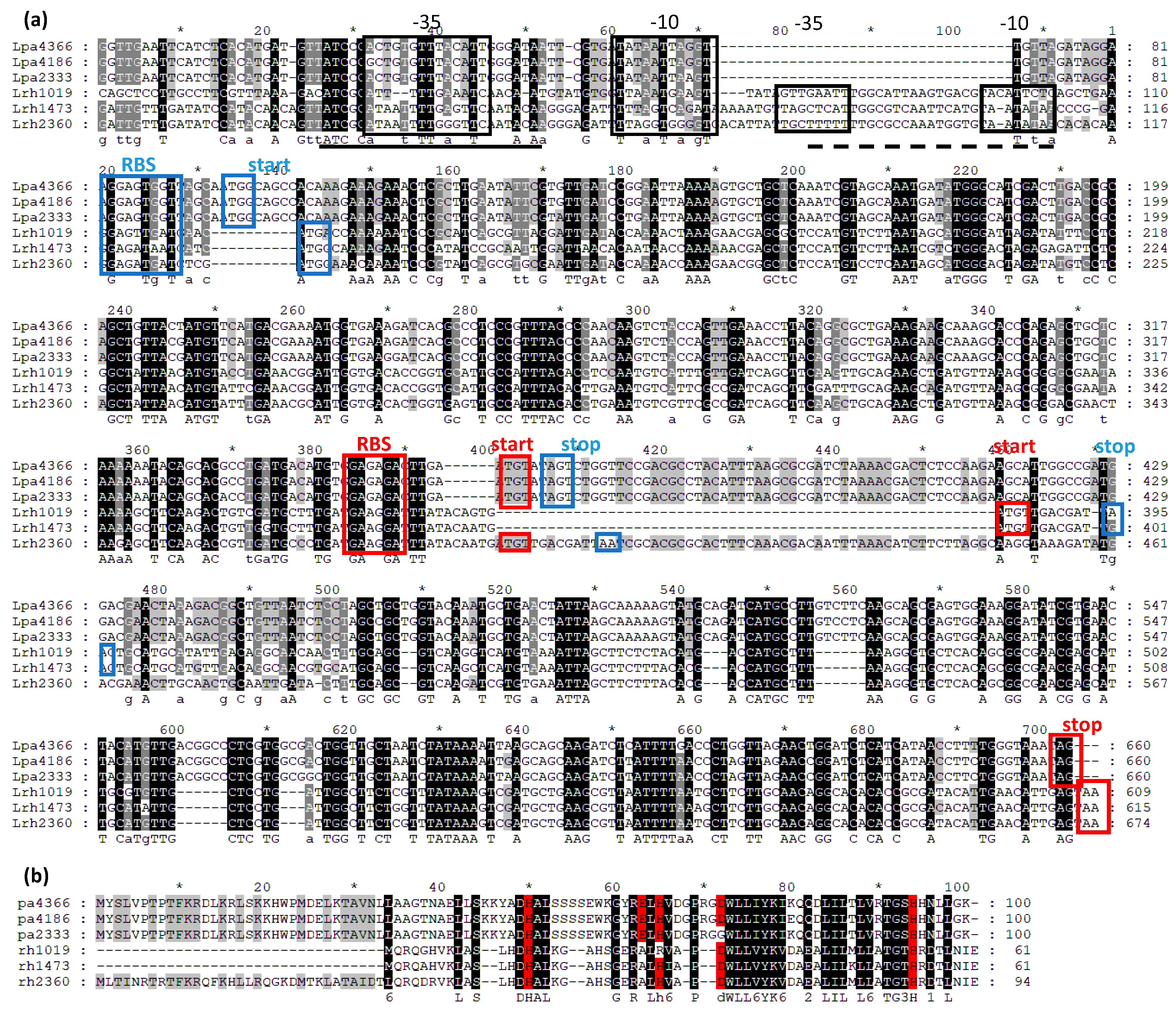 Microorganisms 07 00438 g001