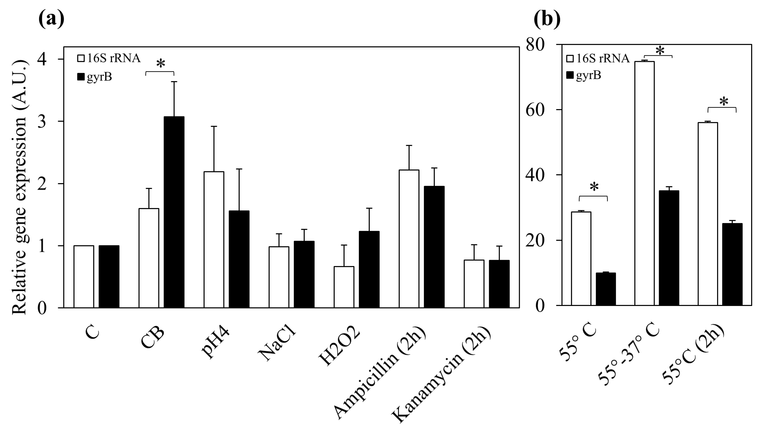 Microorganisms 07 00438 g004