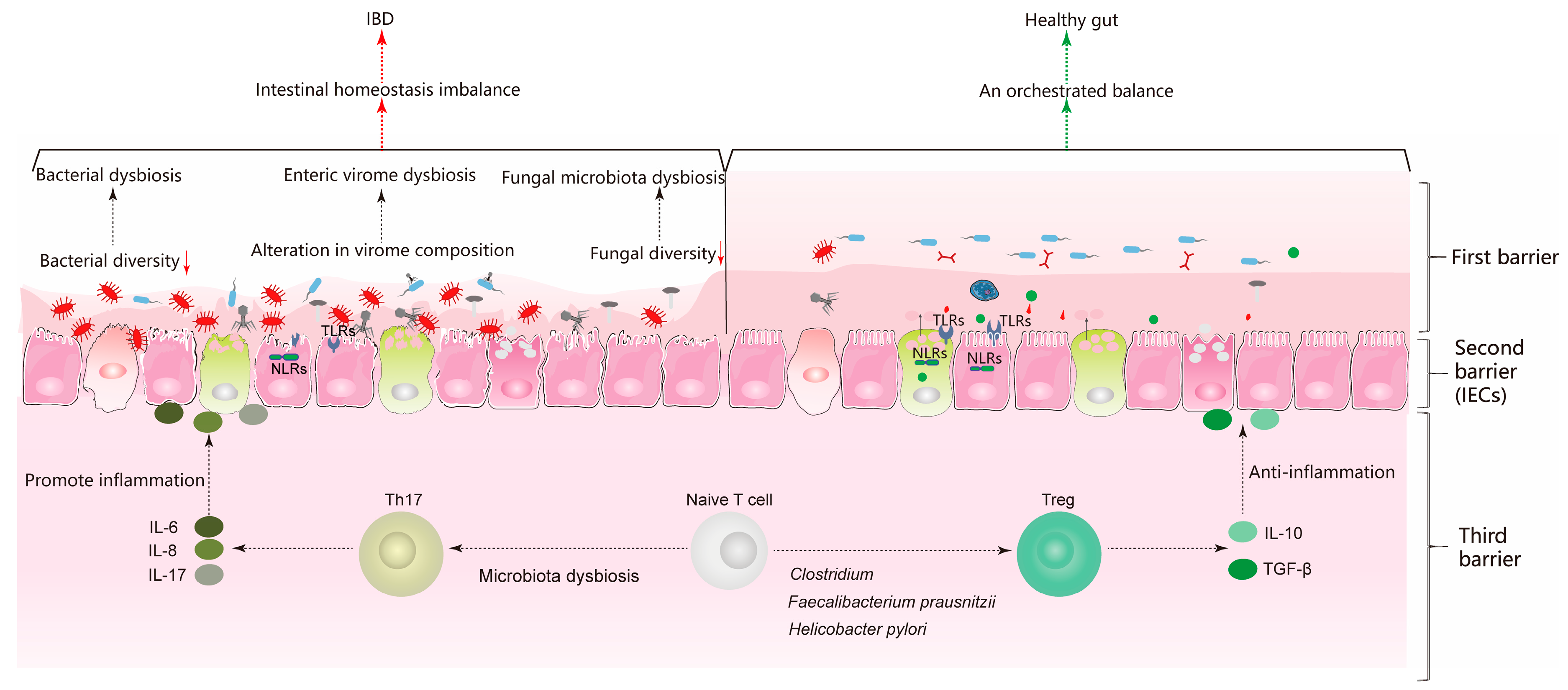 Microorganisms 07 00440 g002 Microorganisms 07 00440 g002