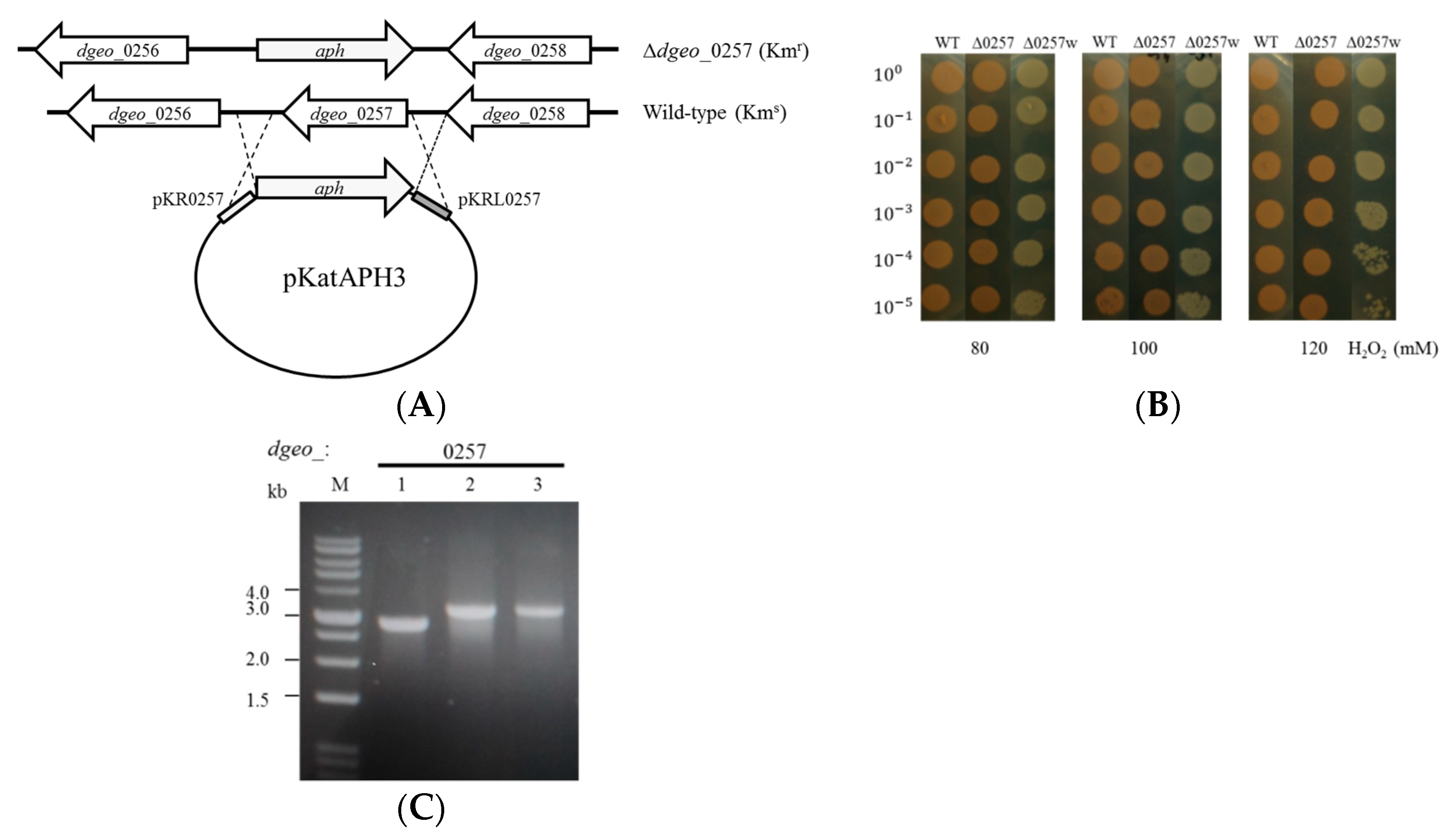 Microorganisms 07 00446 g001 Microorganisms 07 00446 g001