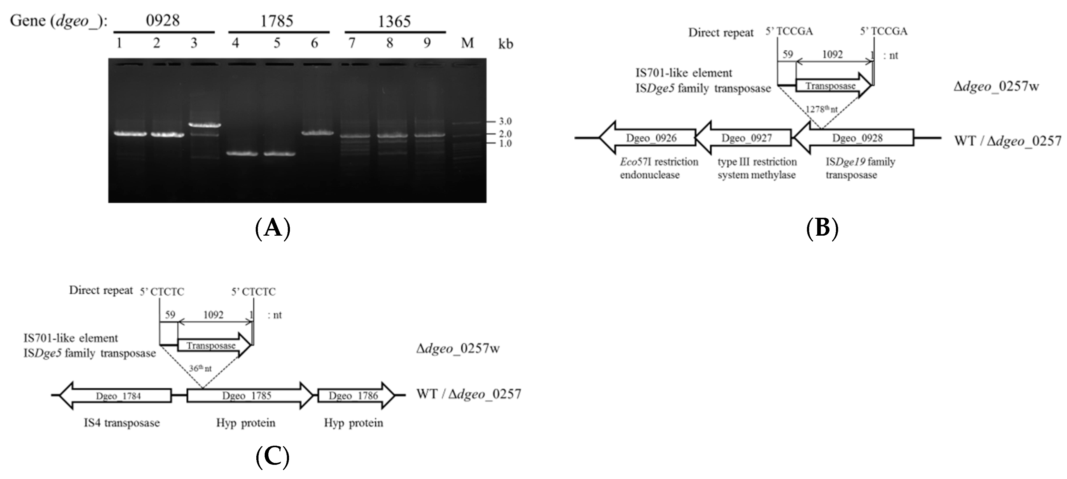Microorganisms 07 00446 g003 Microorganisms 07 00446 g003