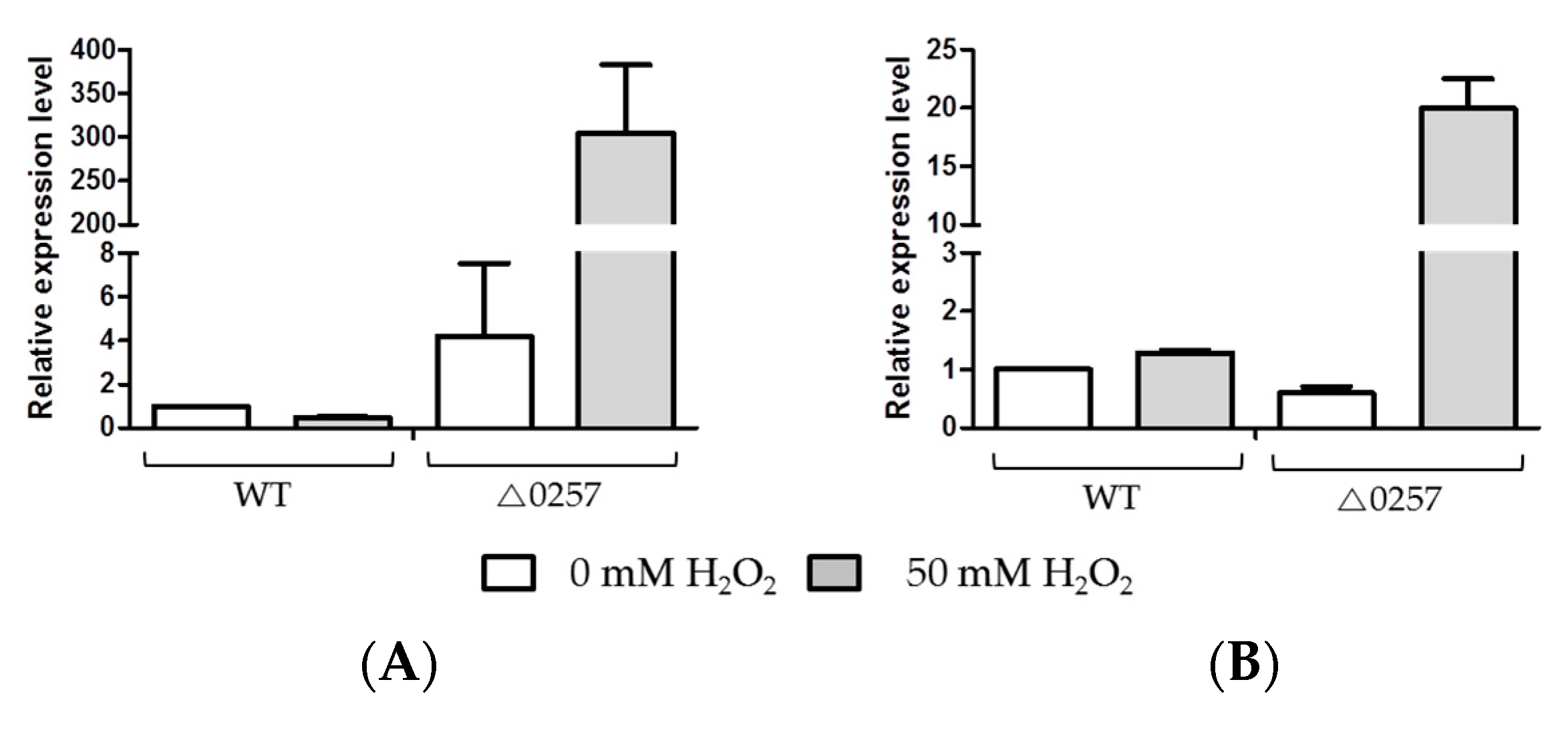 Microorganisms 07 00446 g004 Microorganisms 07 00446 g004