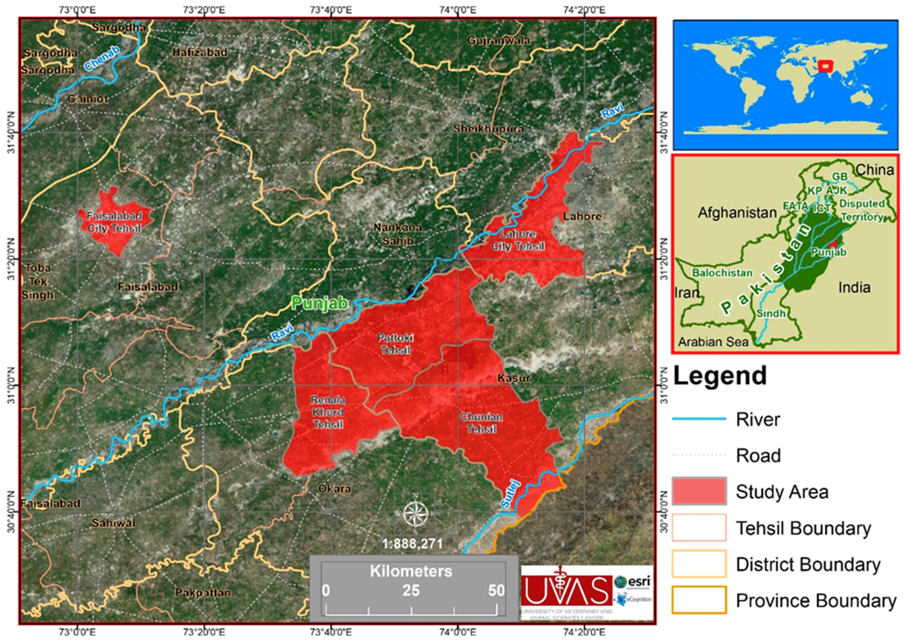 Microorganisms 07 00449 g001 Microorganisms 07 00449 g001