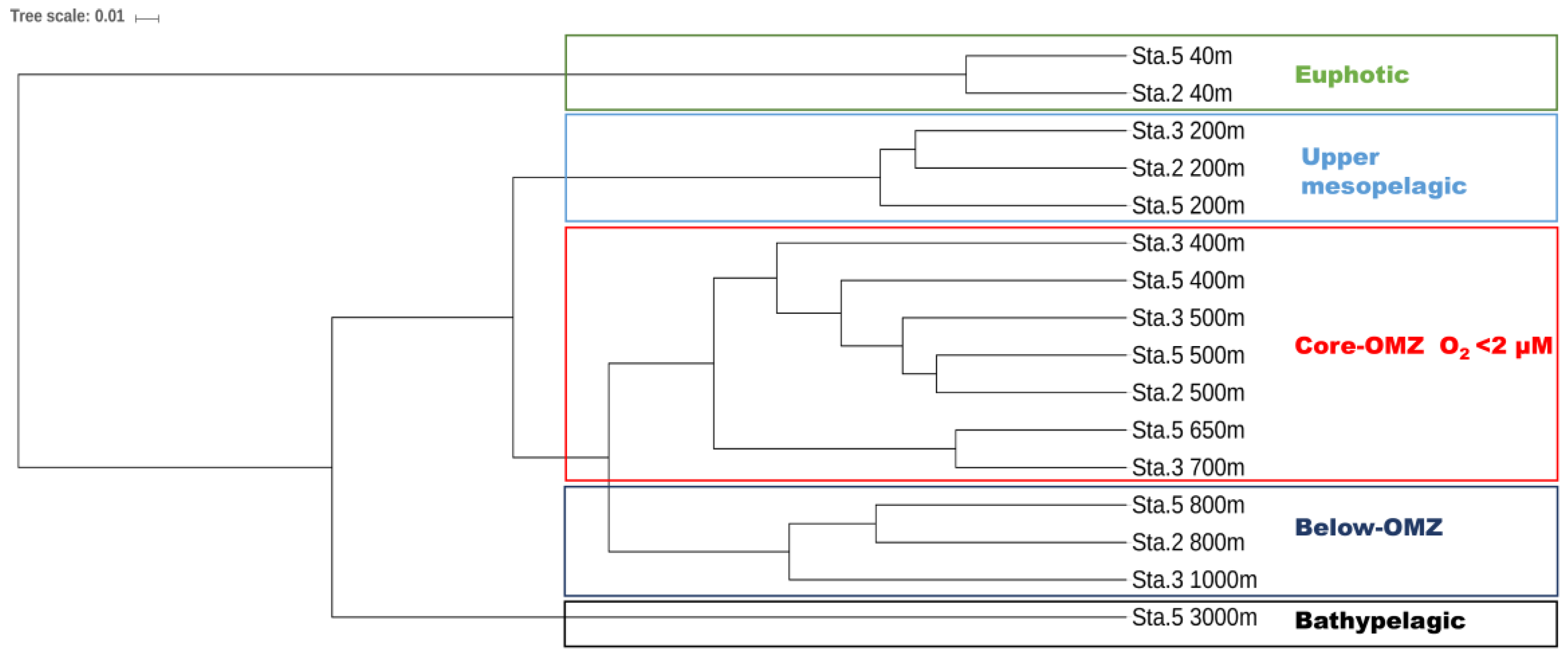 Microorganisms 07 00453 g004 Microorganisms 07 00453 g004