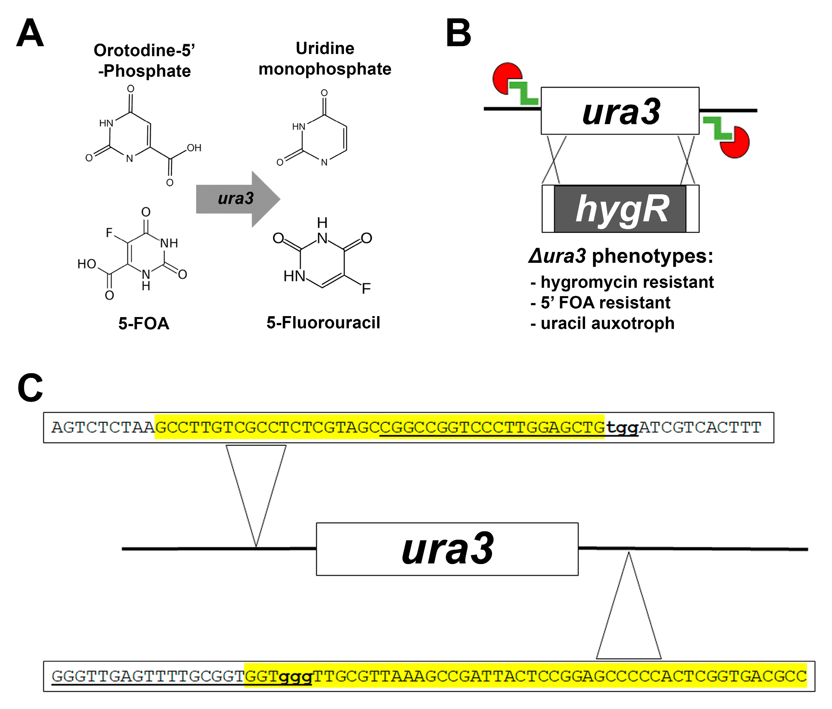 Microorganisms 07 00457 g001