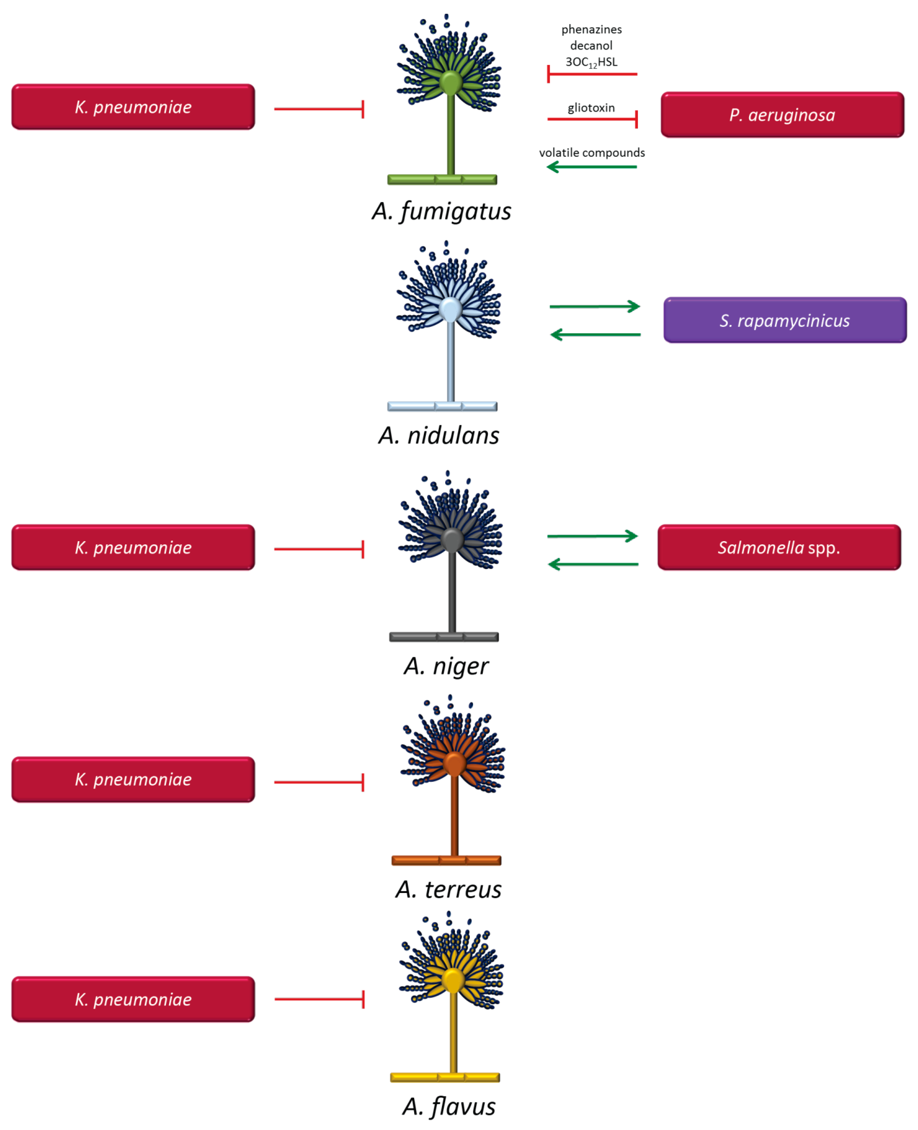 Microorganisms 07 00459 g002
