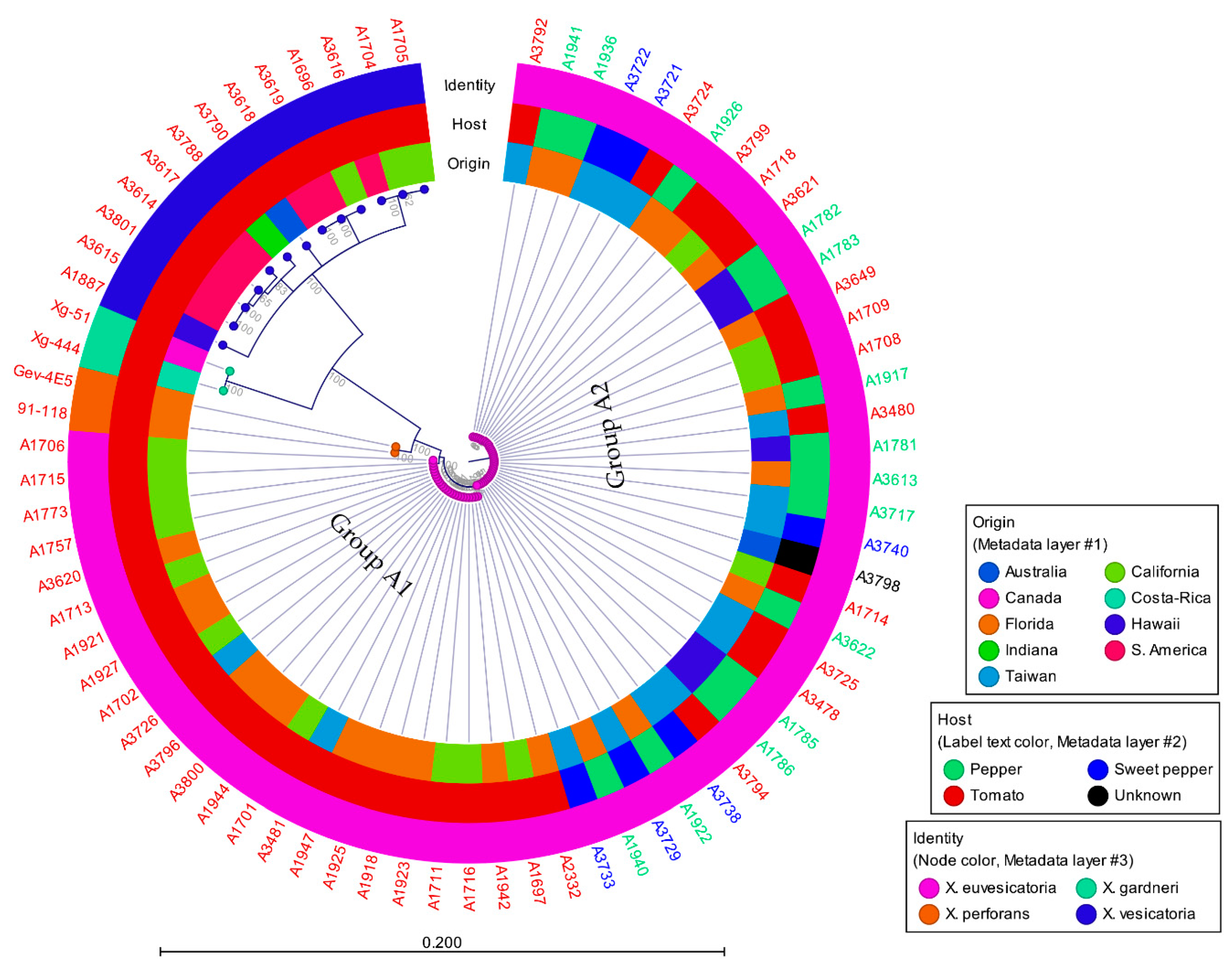 Microorganisms 07 00462 g001 Microorganisms 07 00462 g001
