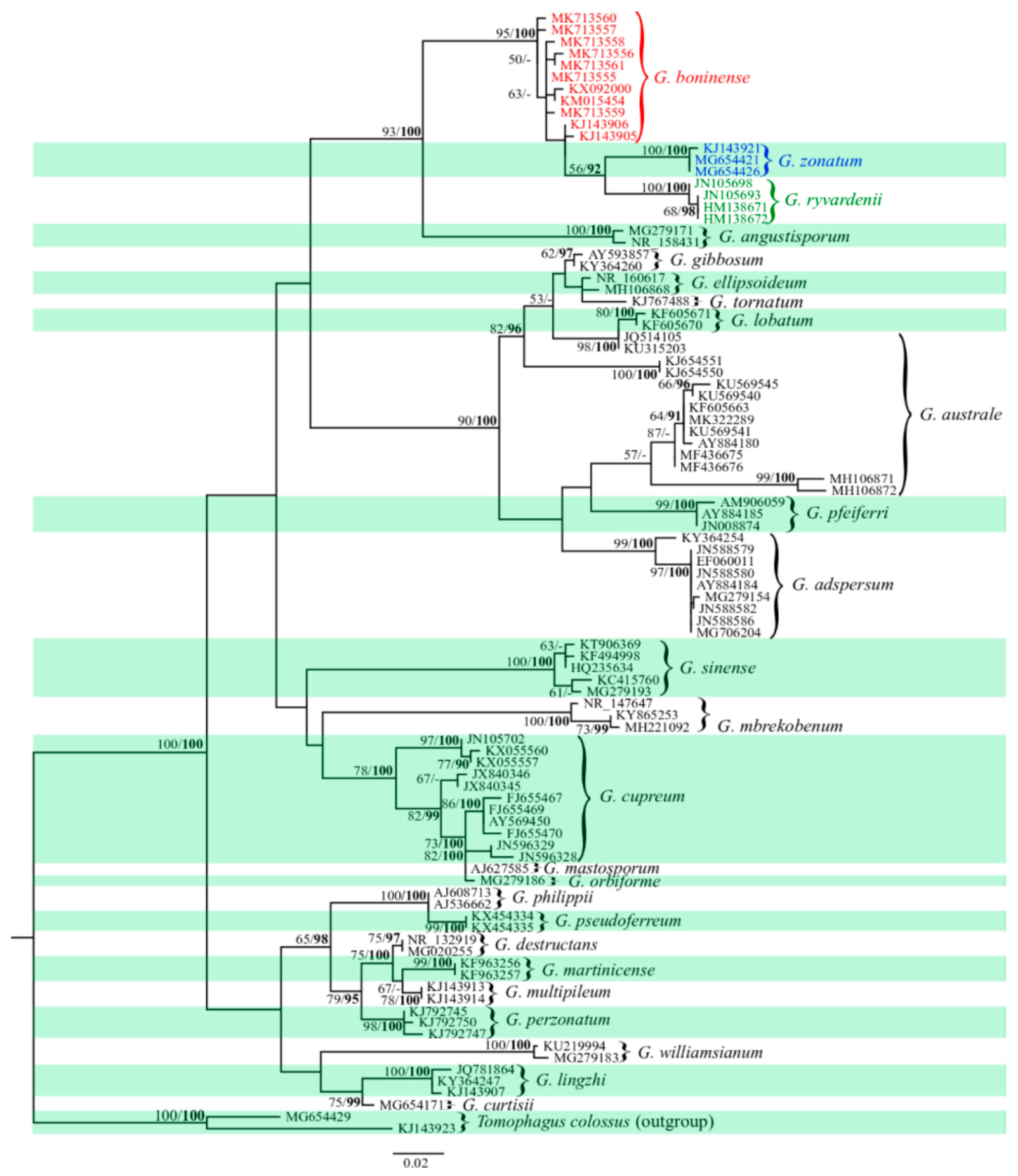 Microorganisms 07 00464 g001