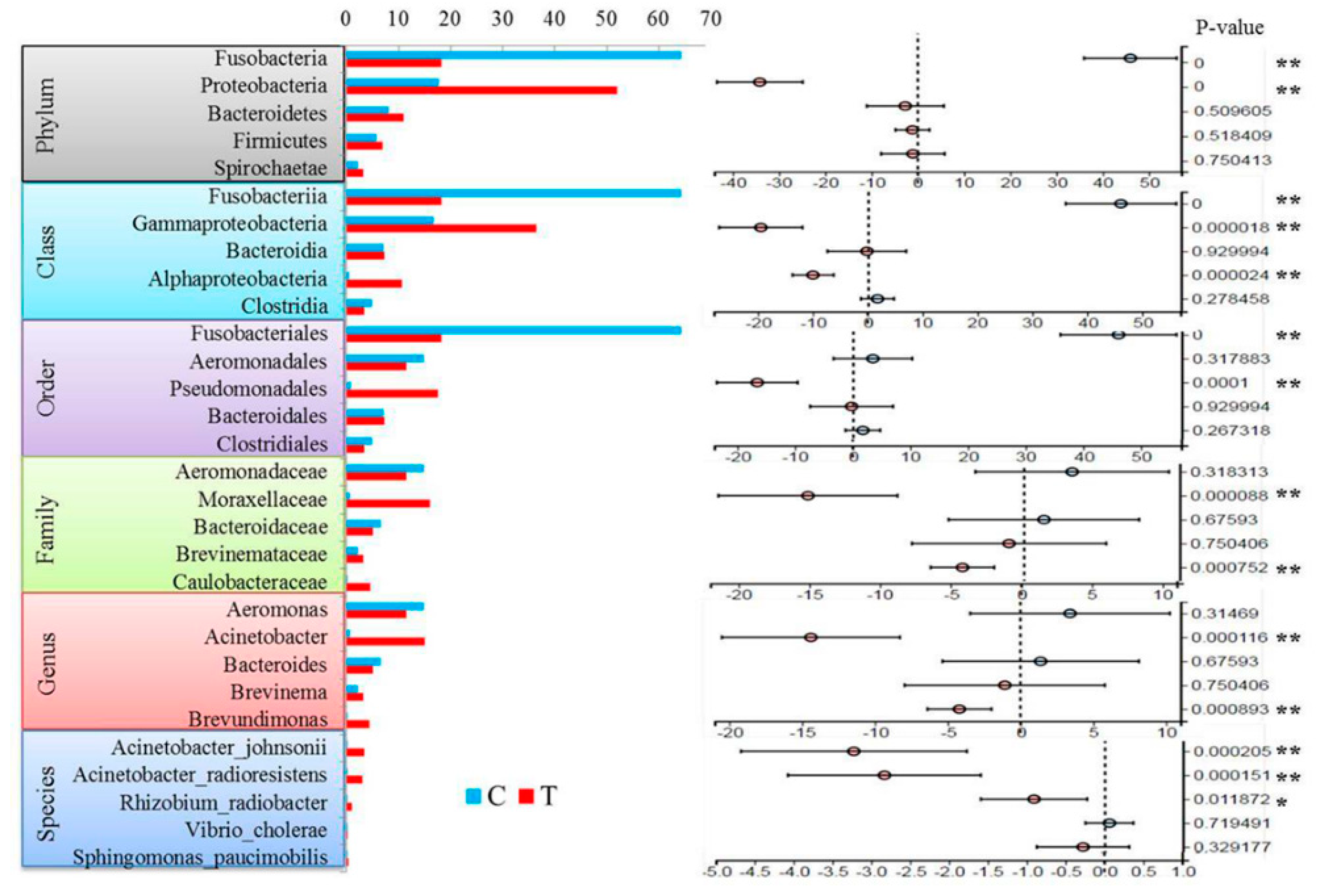 Microorganisms 07 00465 g005