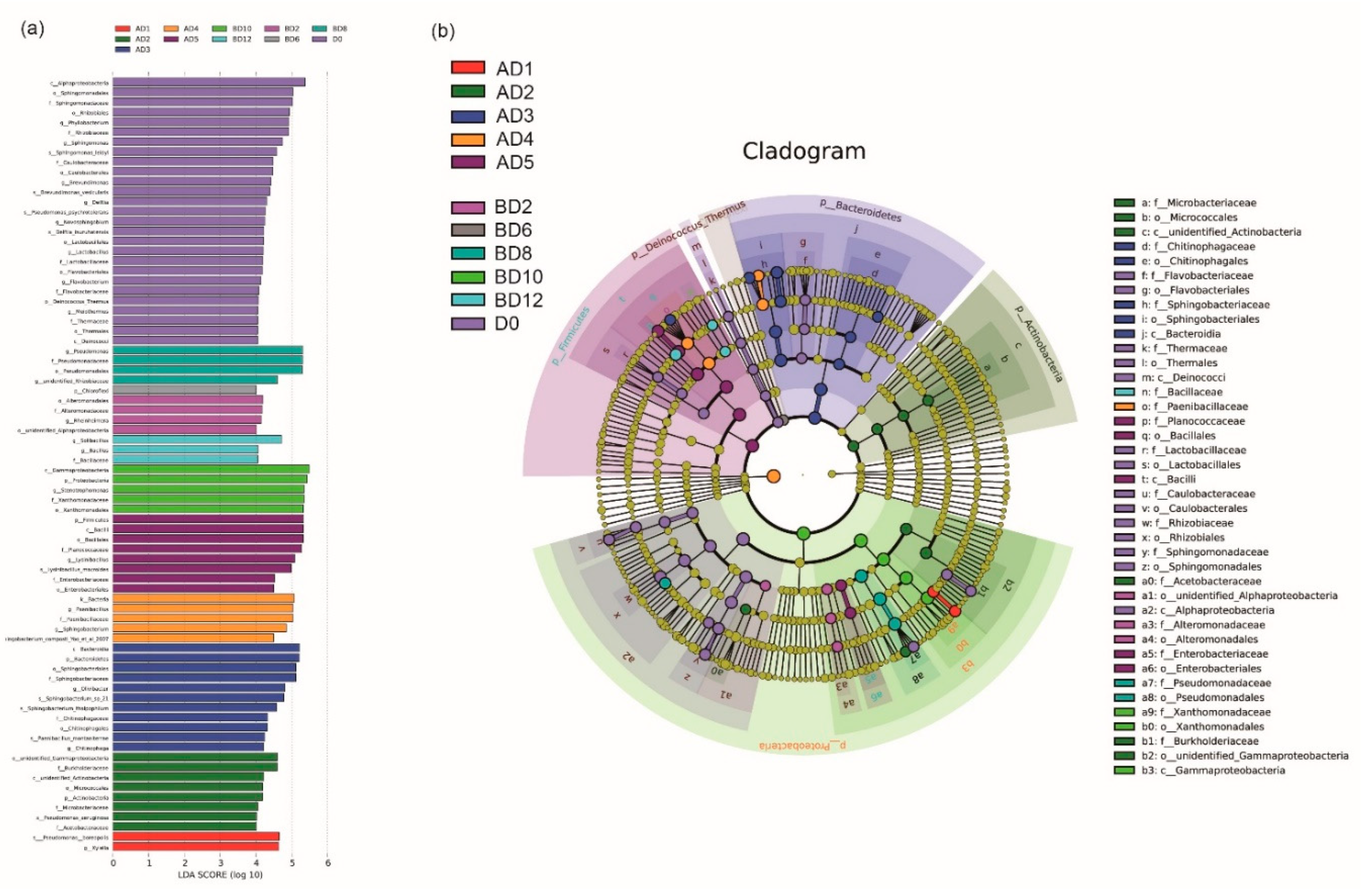 Microorganisms 07 00475 g005 Microorganisms 07 00475 g005