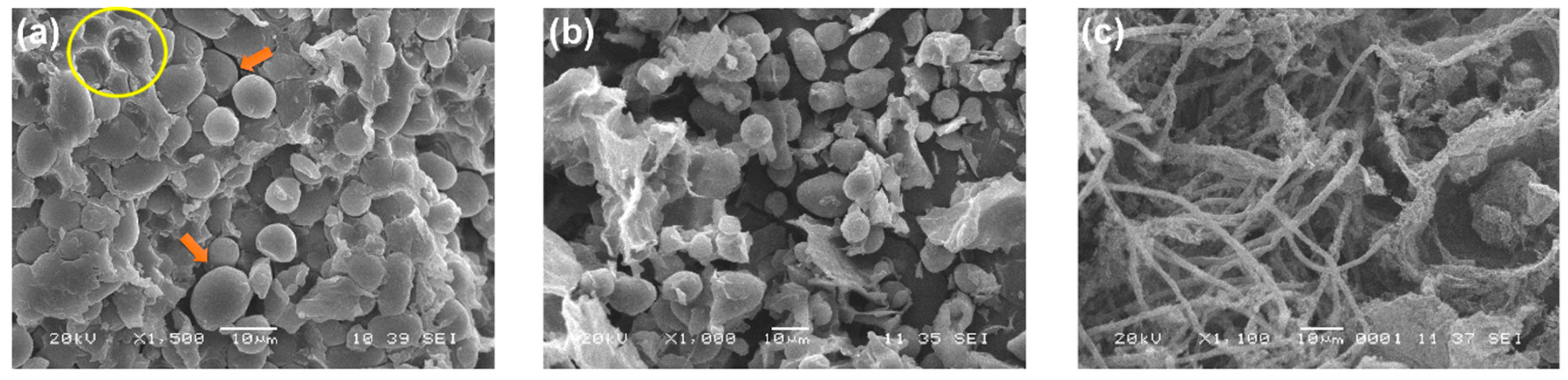 Microorganisms 07 00483 g004 Microorganisms 07 00483 g004