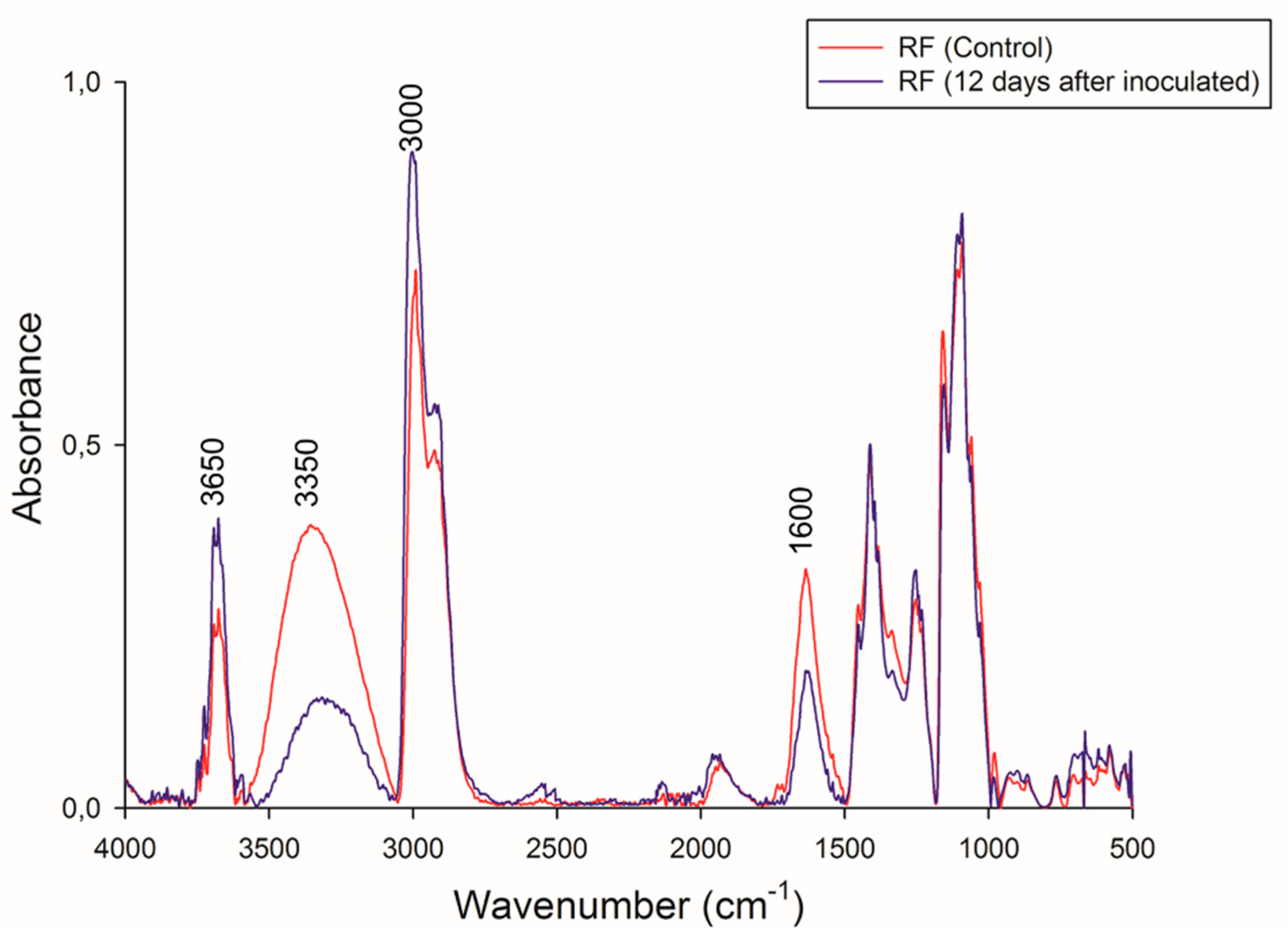 Microorganisms 07 00483 g007 Microorganisms 07 00483 g007
