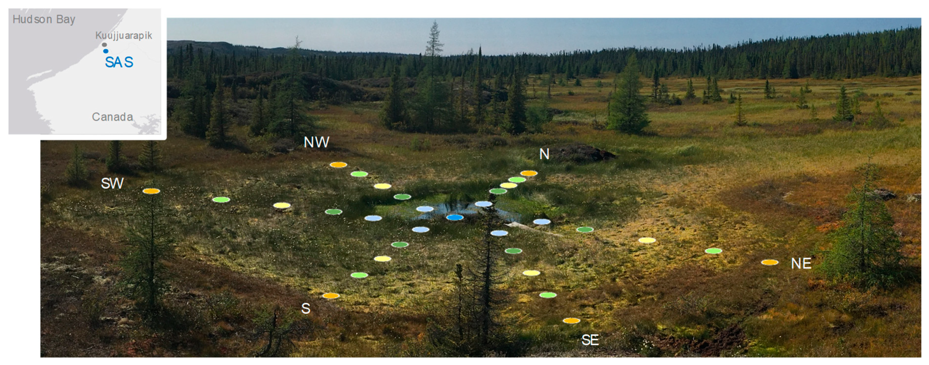 Microorganisms 07 00486 g001 Microorganisms 07 00486 g001