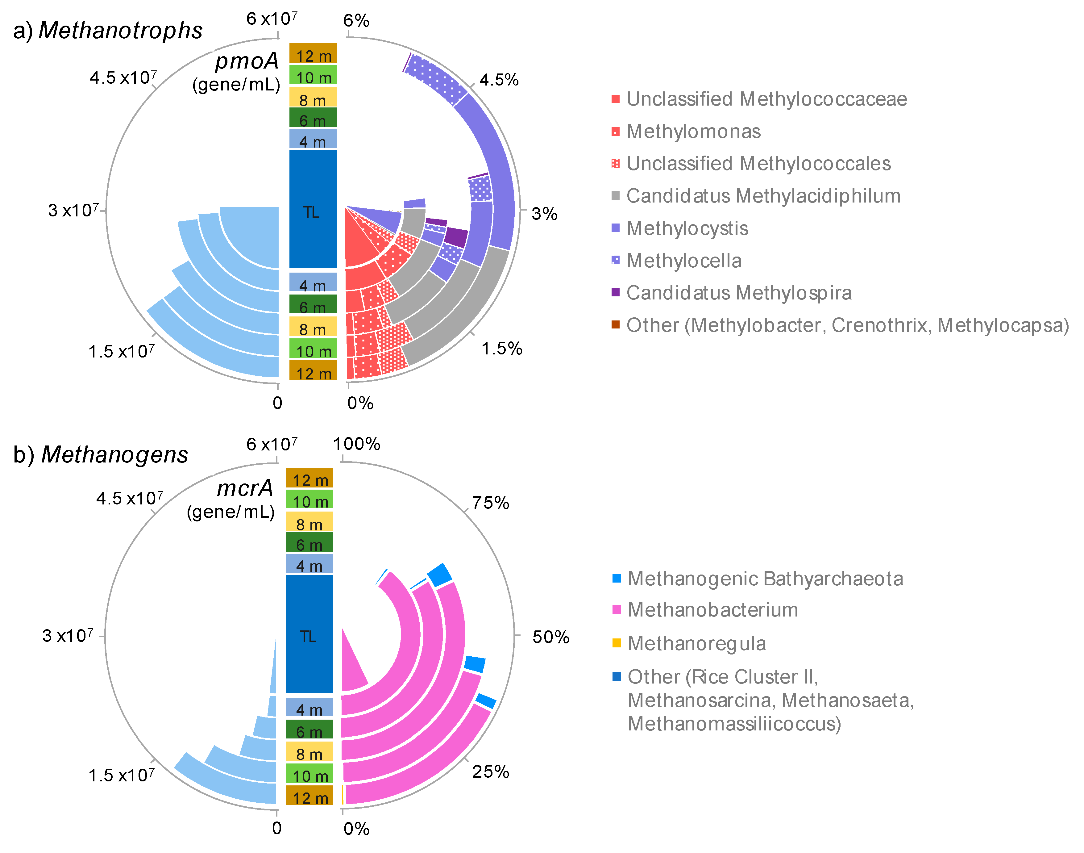 Microorganisms 07 00486 g006 Microorganisms 07 00486 g006