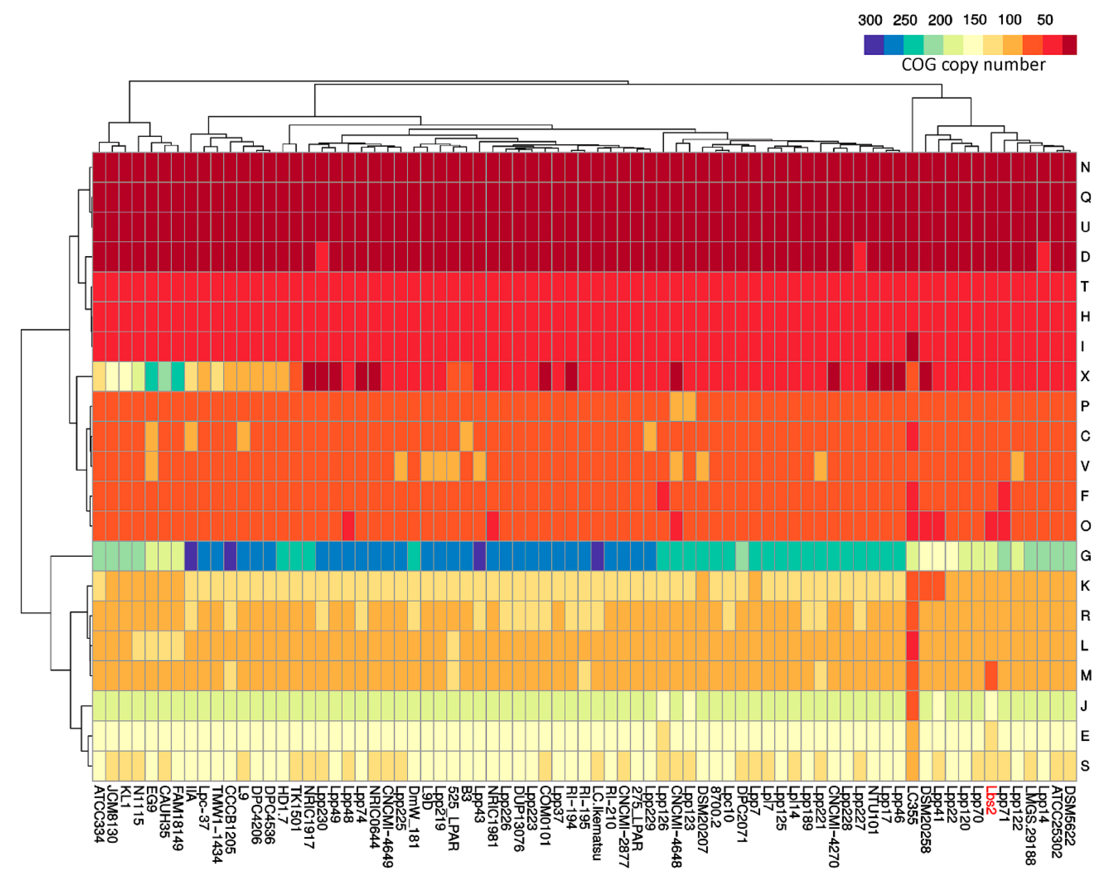 Microorganisms 07 00487 g002 Microorganisms 07 00487 g002