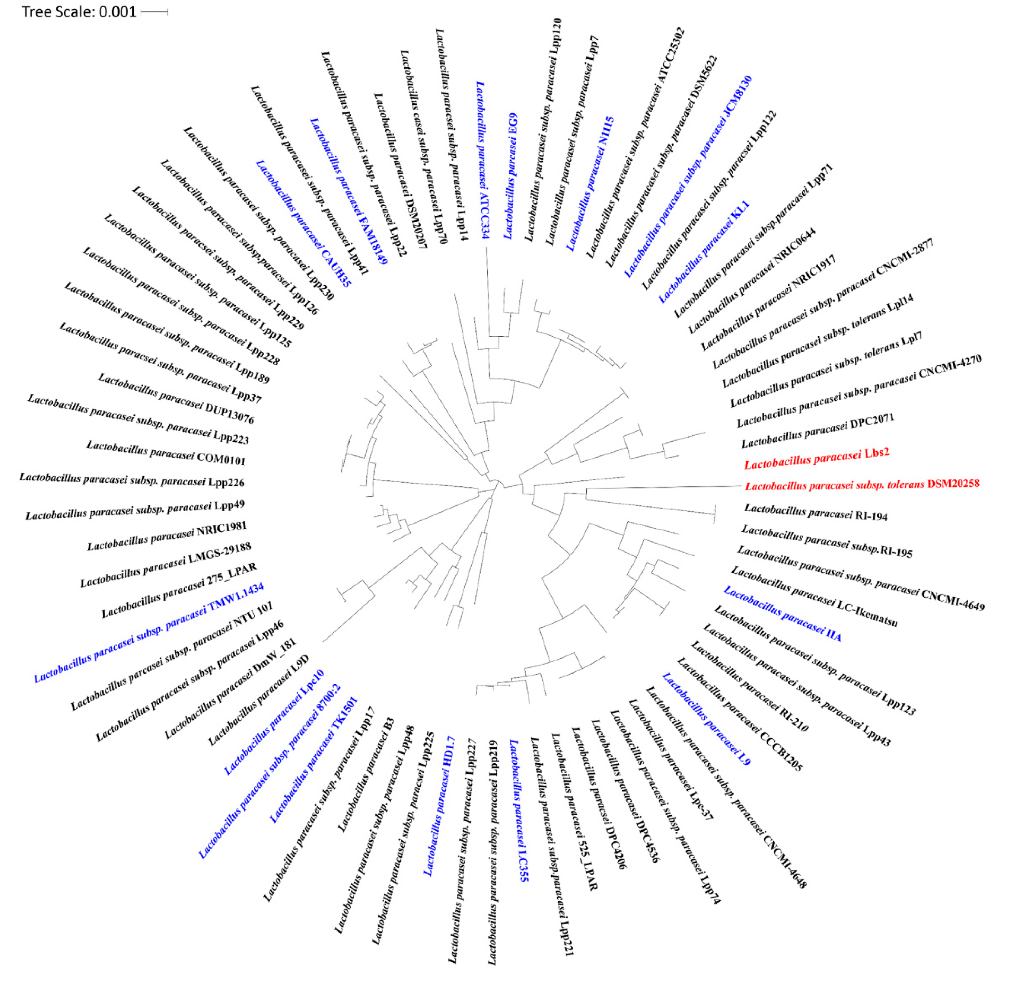 Microorganisms 07 00487 g005 Microorganisms 07 00487 g005