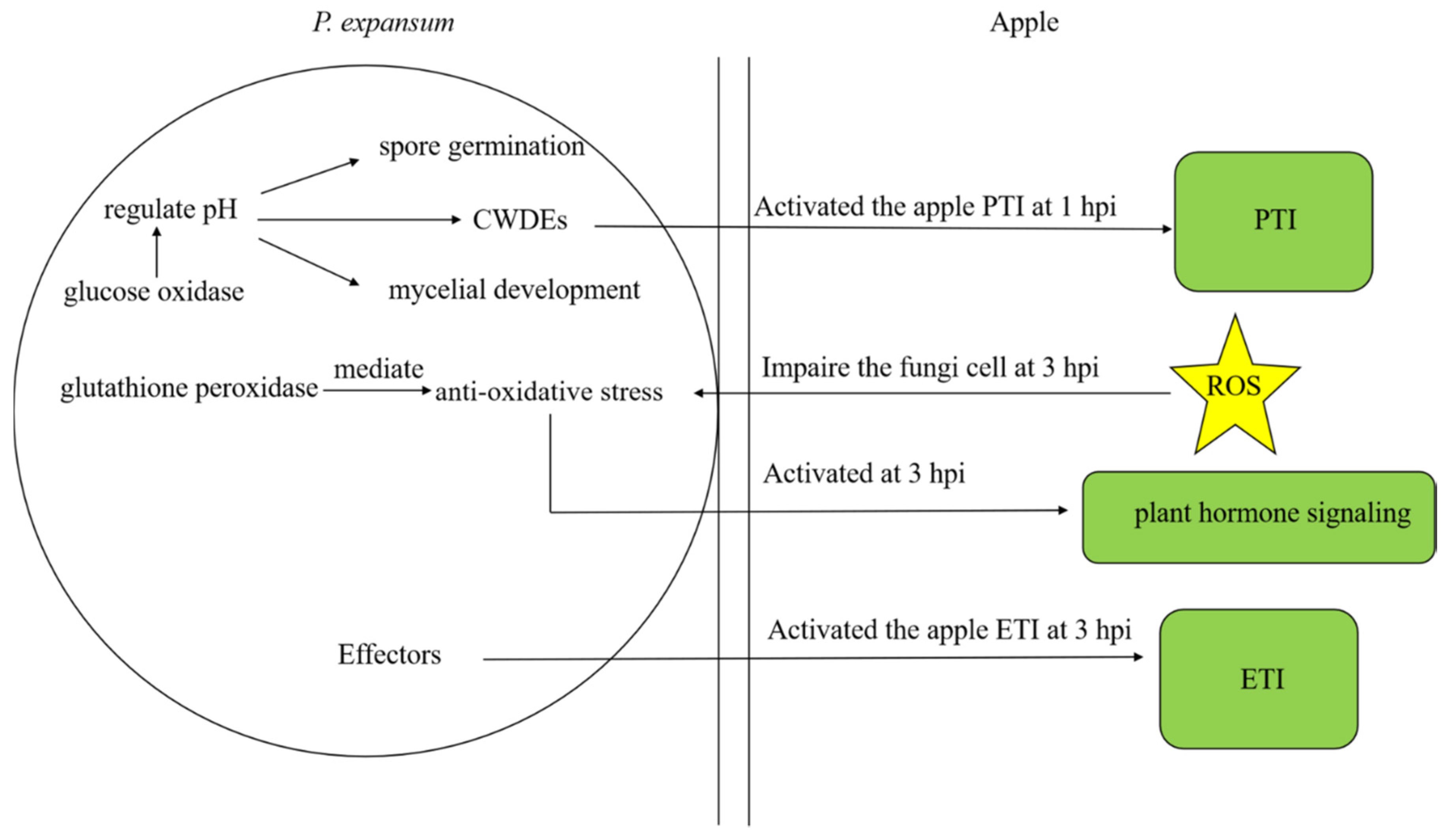 Microorganisms 07 00495 g006 Microorganisms 07 00495 g006