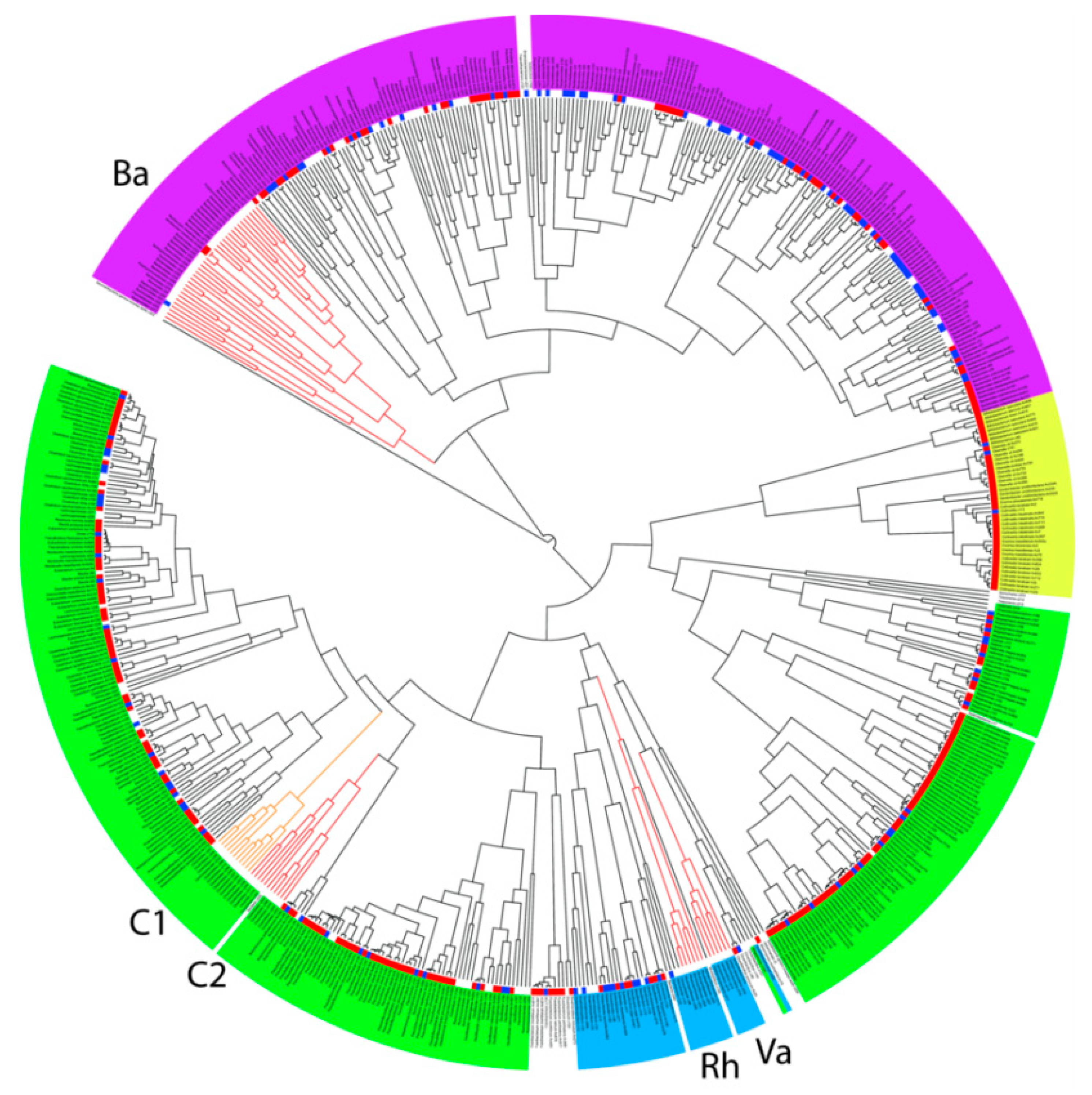 Microorganisms 07 00496 g002