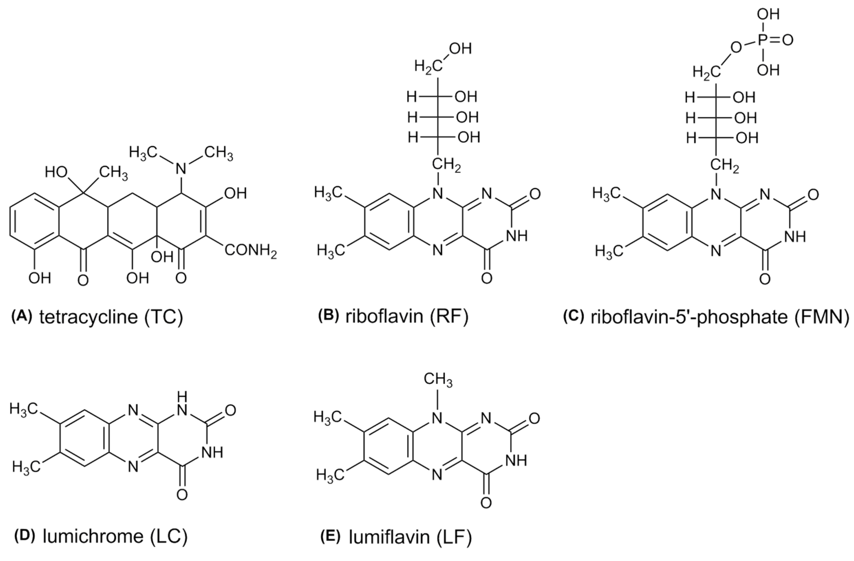 Microorganisms 07 00500 g001