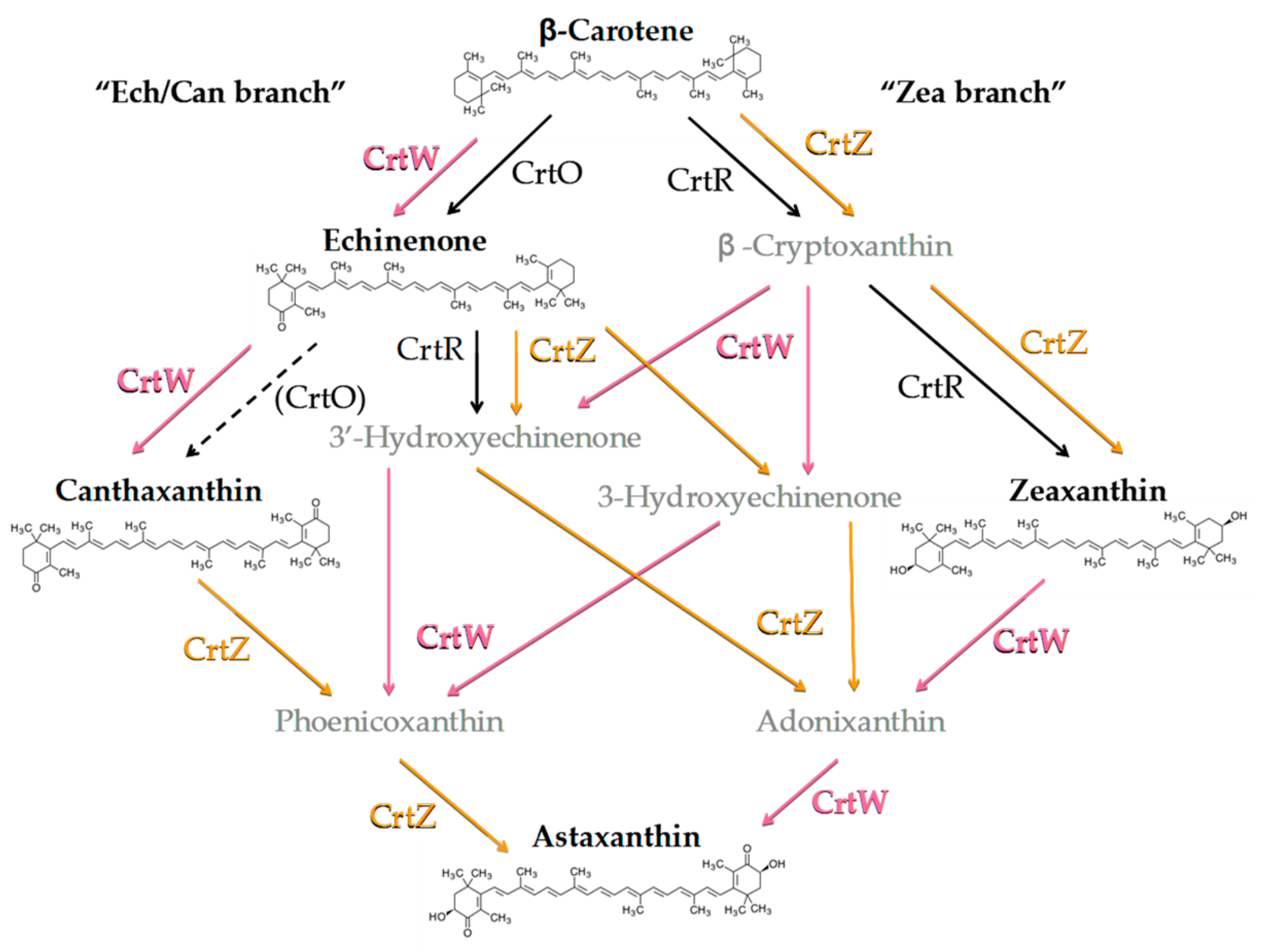 Microorganisms 07 00501 g002 Microorganisms 07 00501 g002