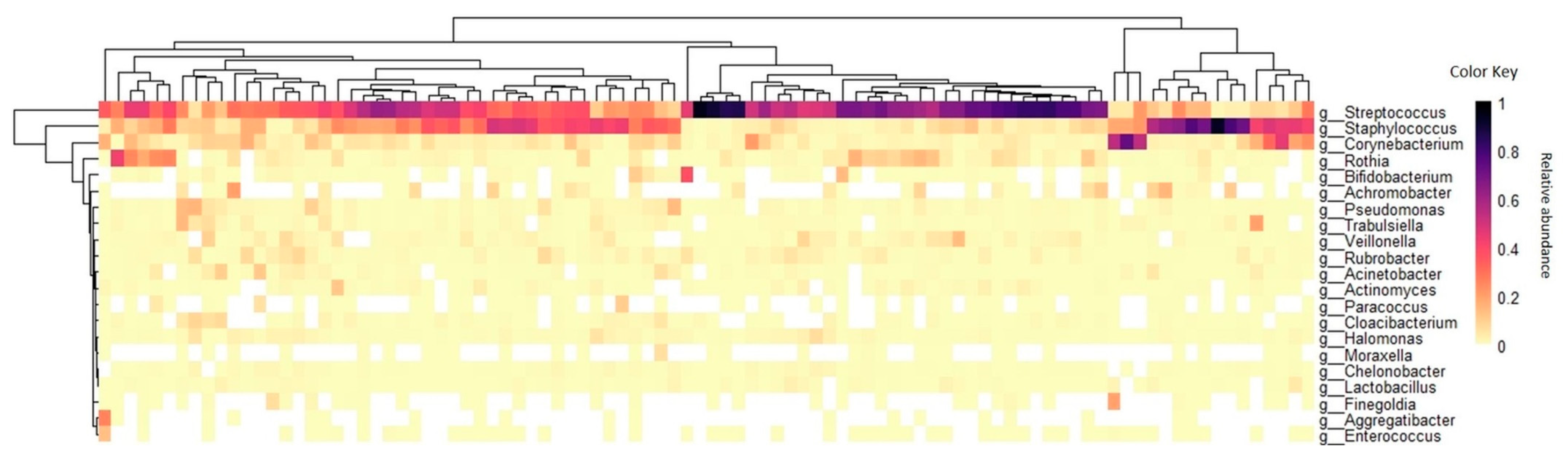 Microorganisms 07 00502 g001 Microorganisms 07 00502 g001