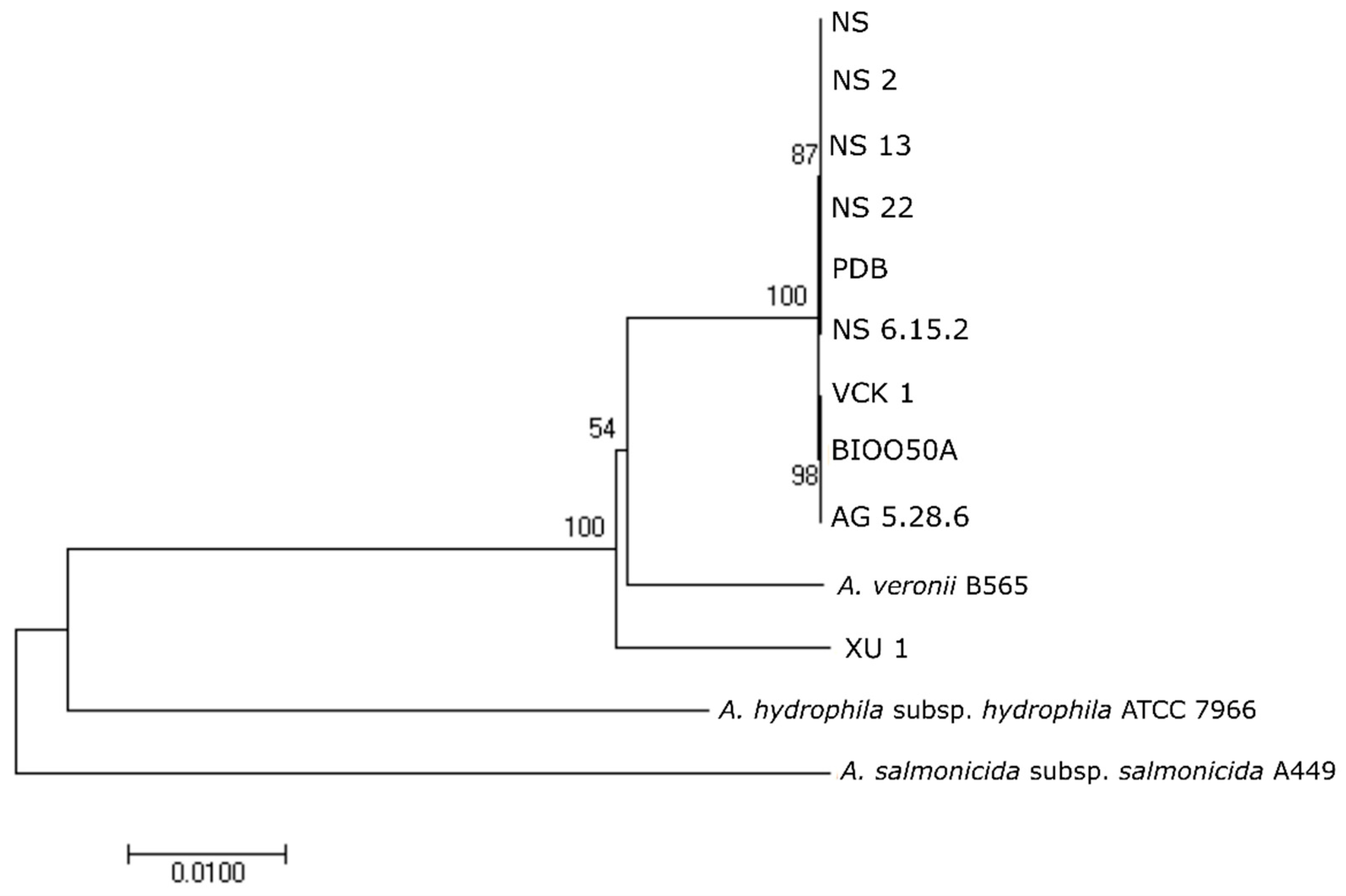 Microorganisms 07 00504 g003