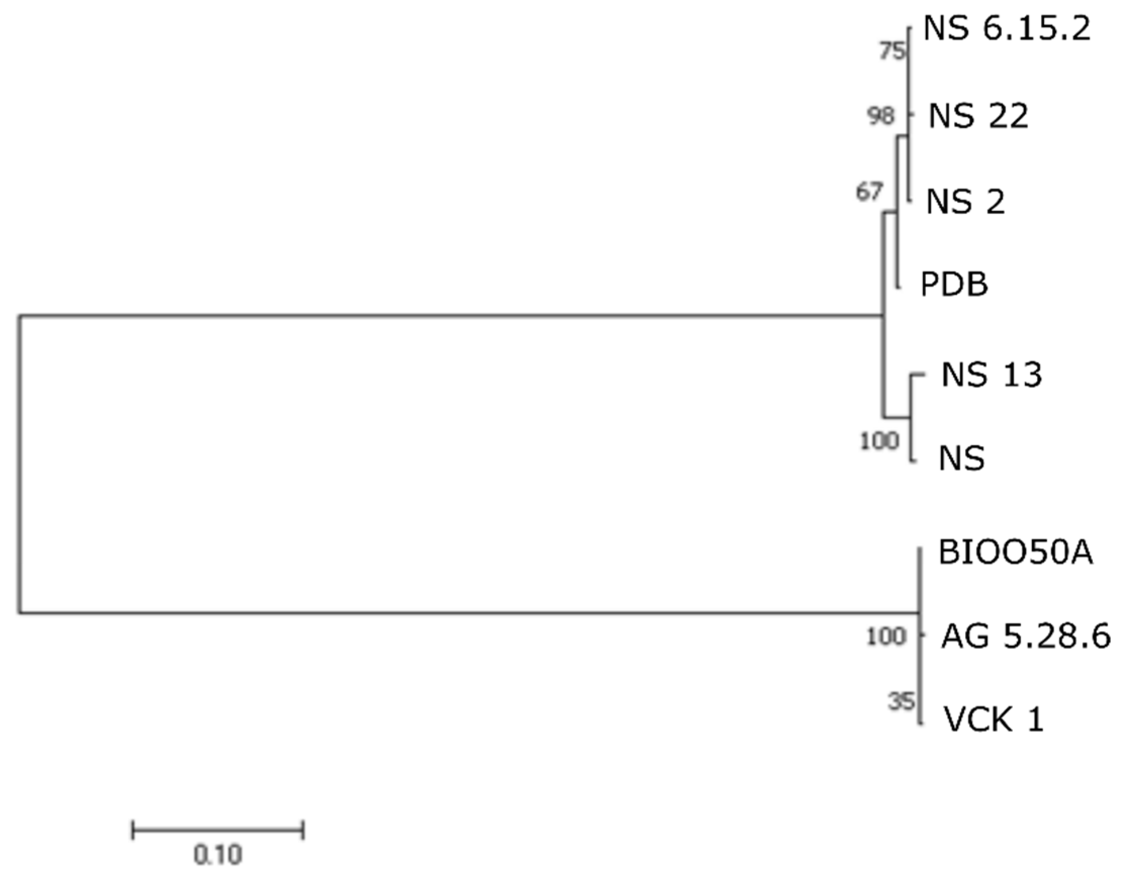 Microorganisms 07 00504 g005