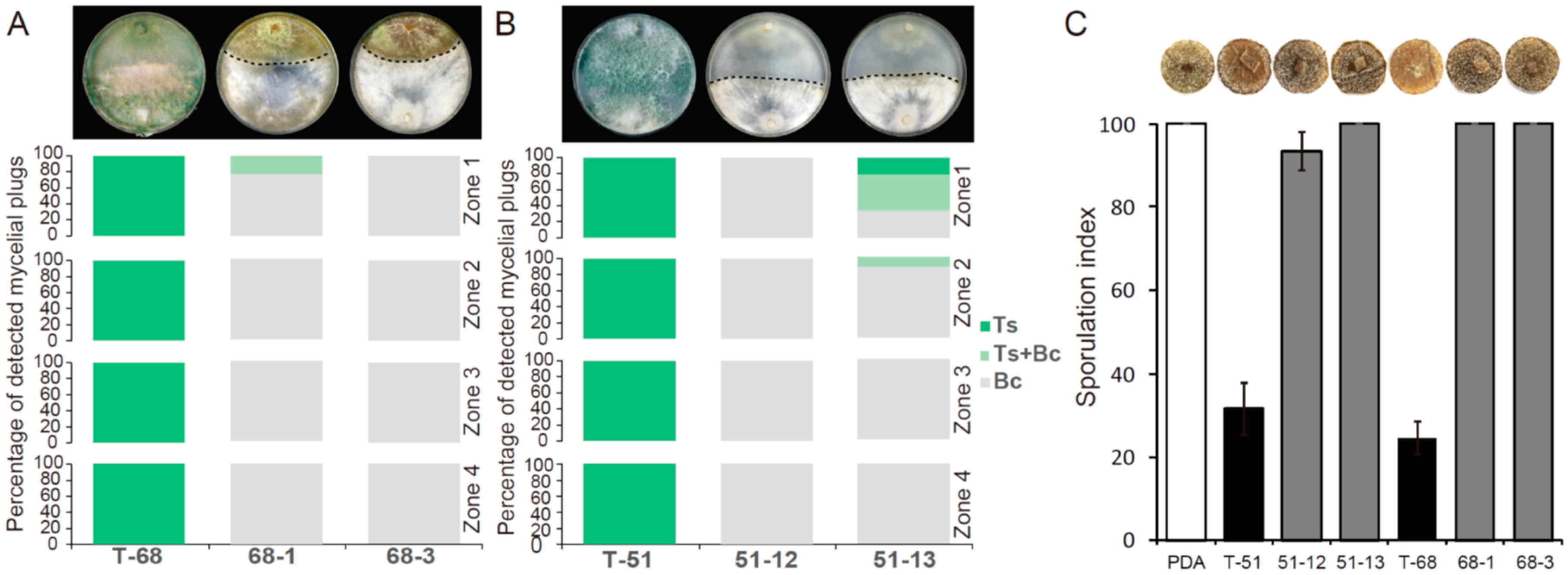 Microorganisms 07 00507 g007