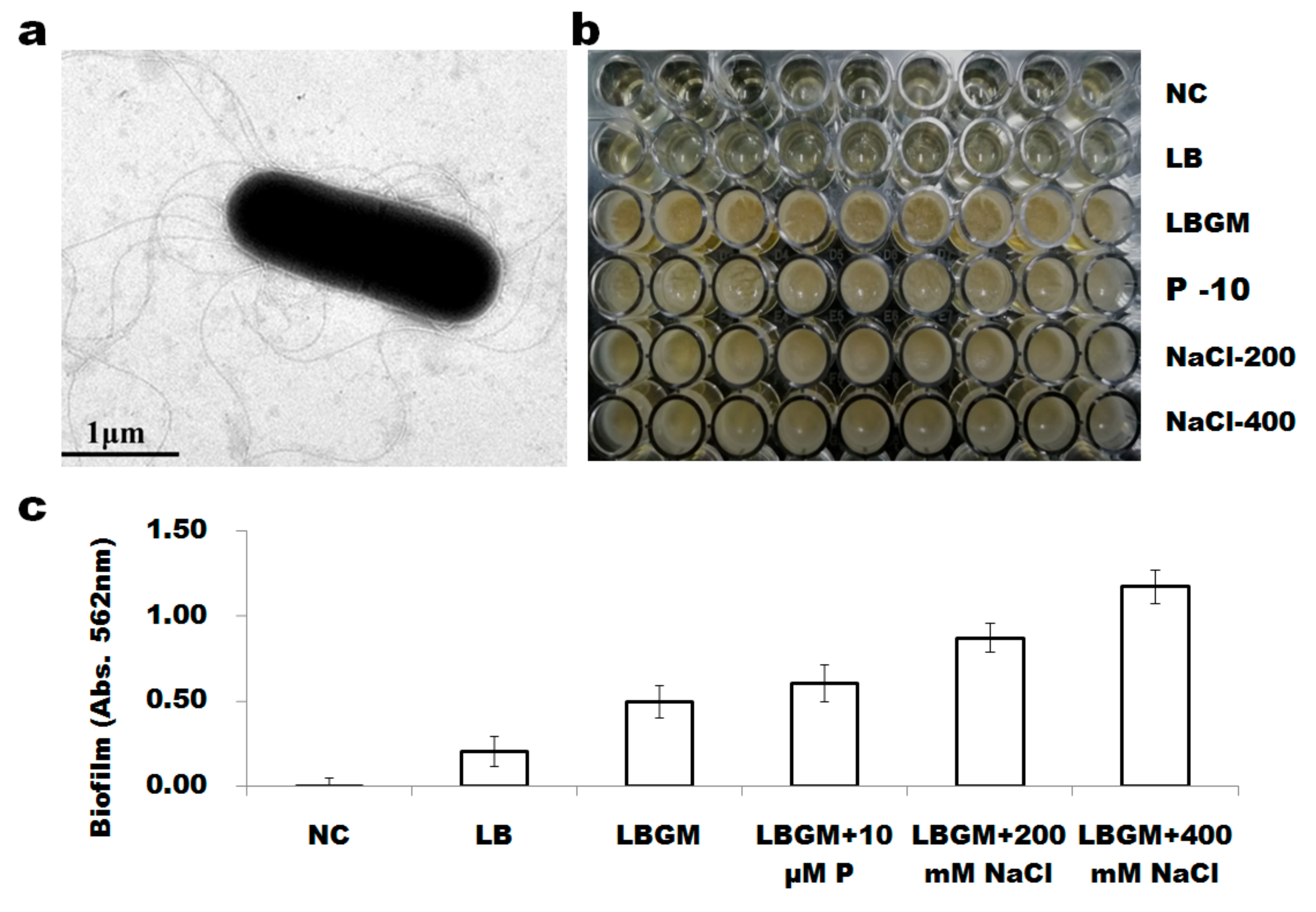 Free FullText Microbiological Insights into the