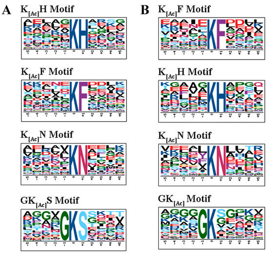Label-Free Quantitative Acetylome Analysis Reveals Label-Free Quantitative Acetylome Analysis Reveals