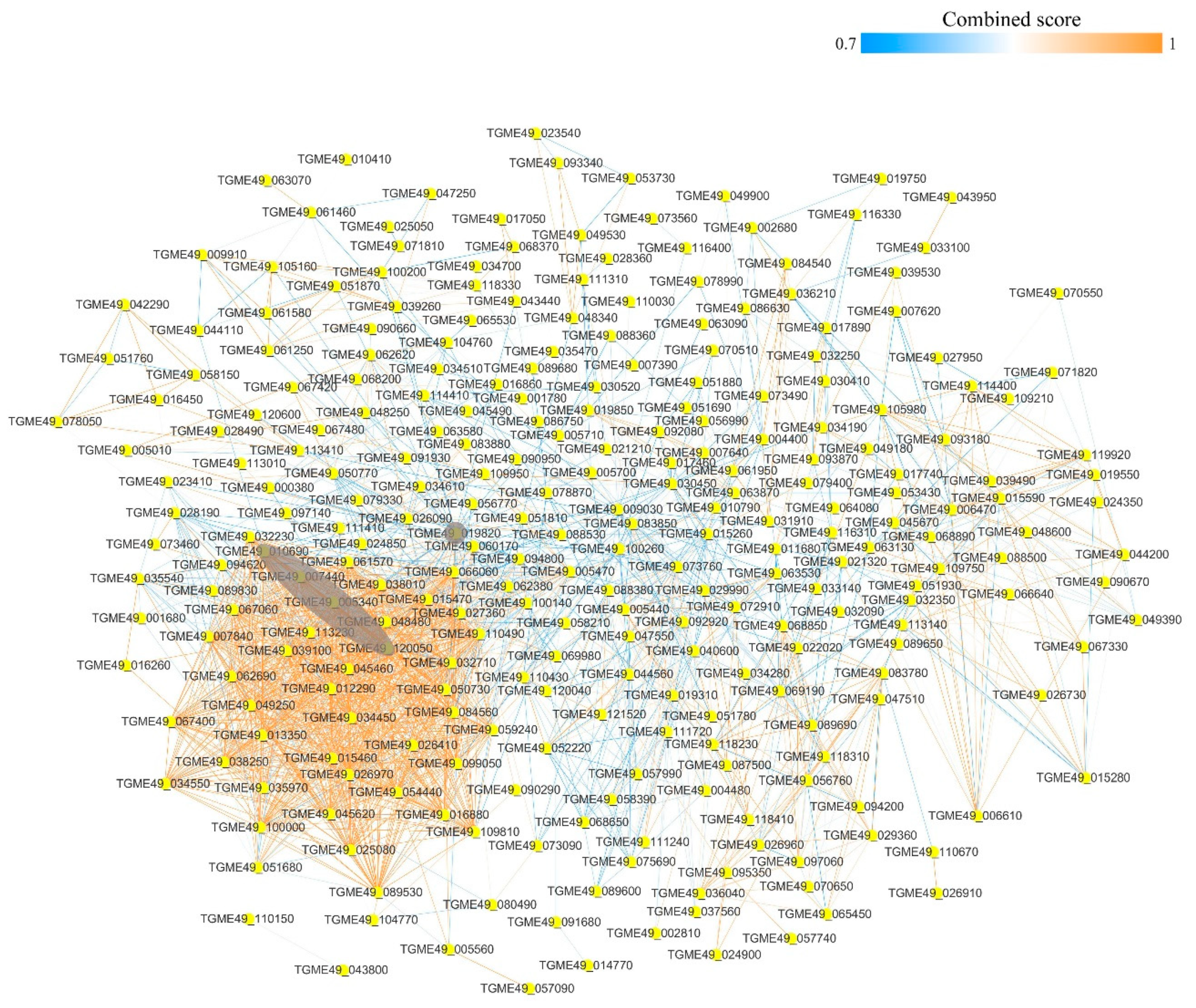 Microorganisms 07 00510 g005 Microorganisms 07 00510 g005