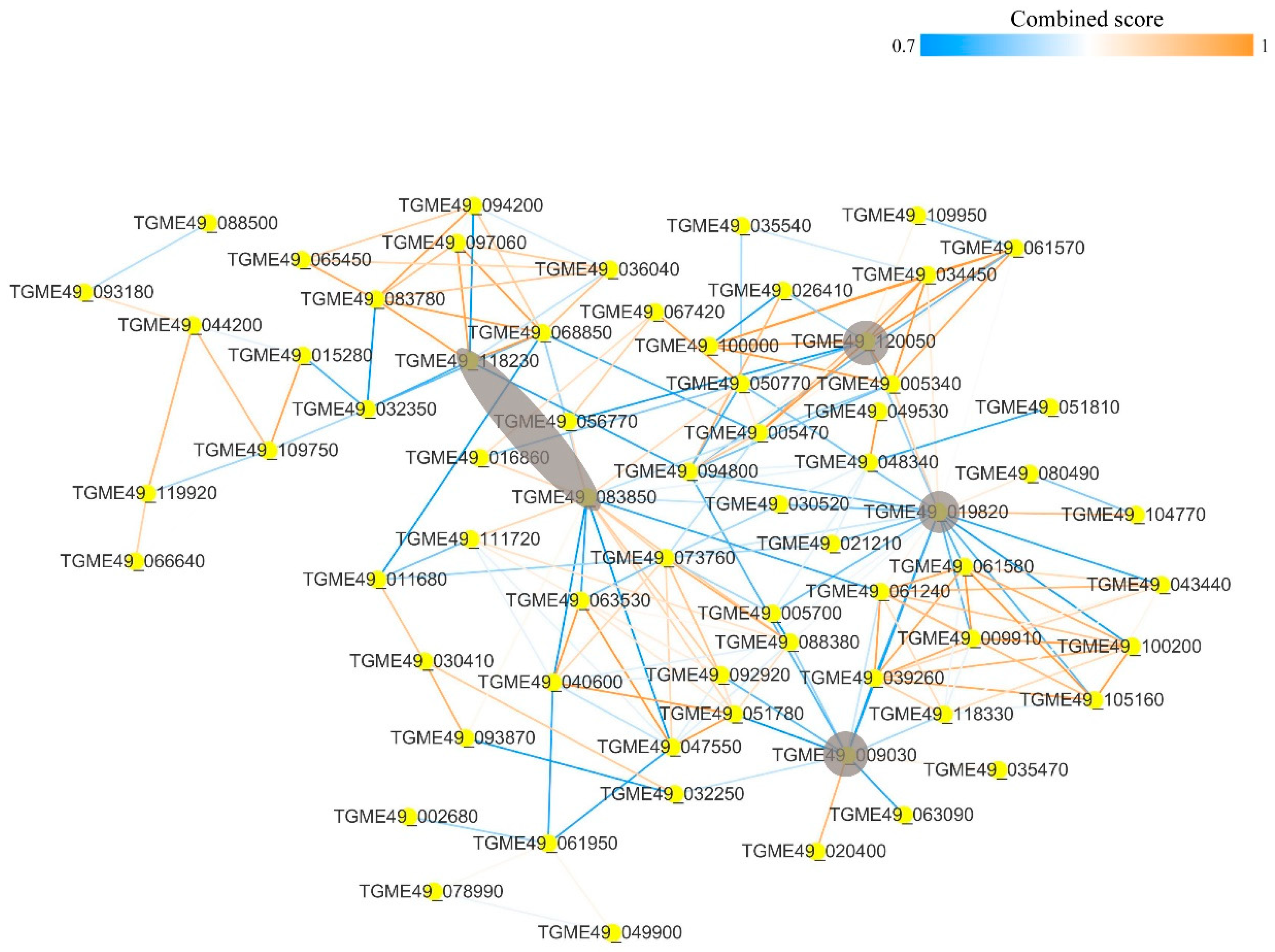 Microorganisms 07 00510 g011 Microorganisms 07 00510 g011