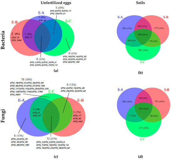 Internal and External Microbial Community of the Thitarodes Moth
