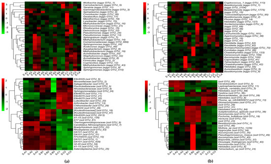 Internal and External Microbial Community of the Thitarodes